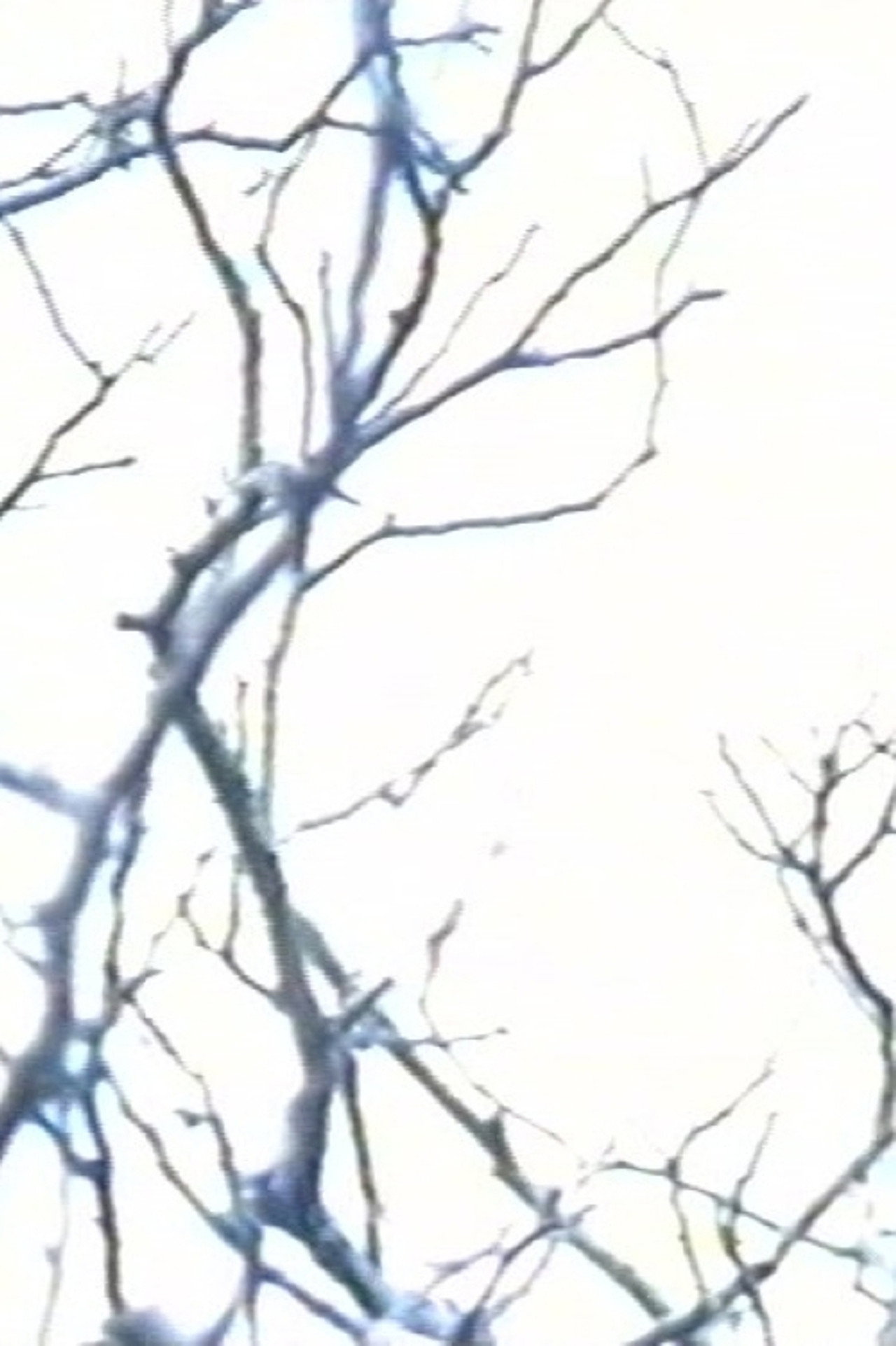 Stereo #0 - 30 drones for television - Drone 15