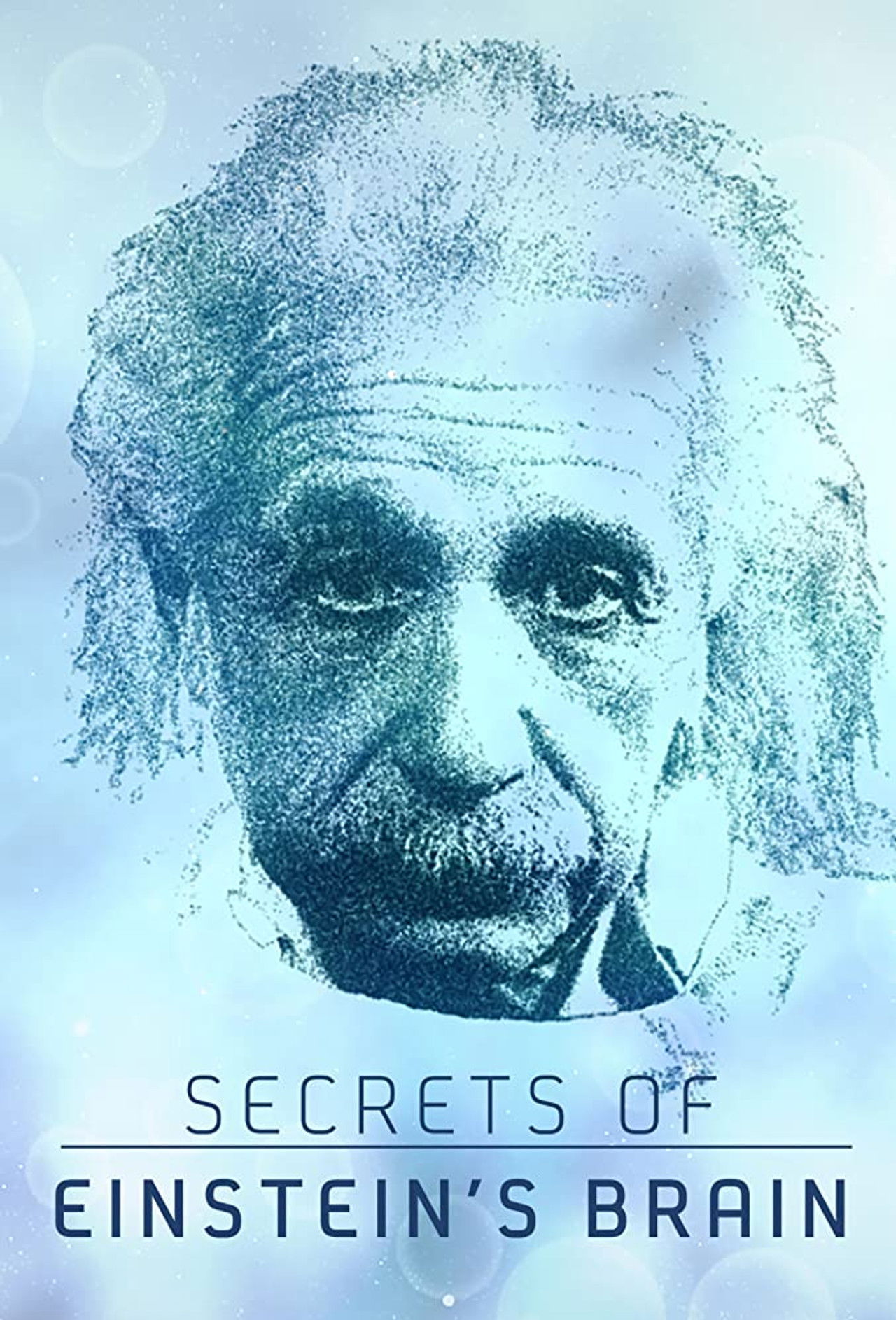 Secrets of Einstein's Brain Backdrop