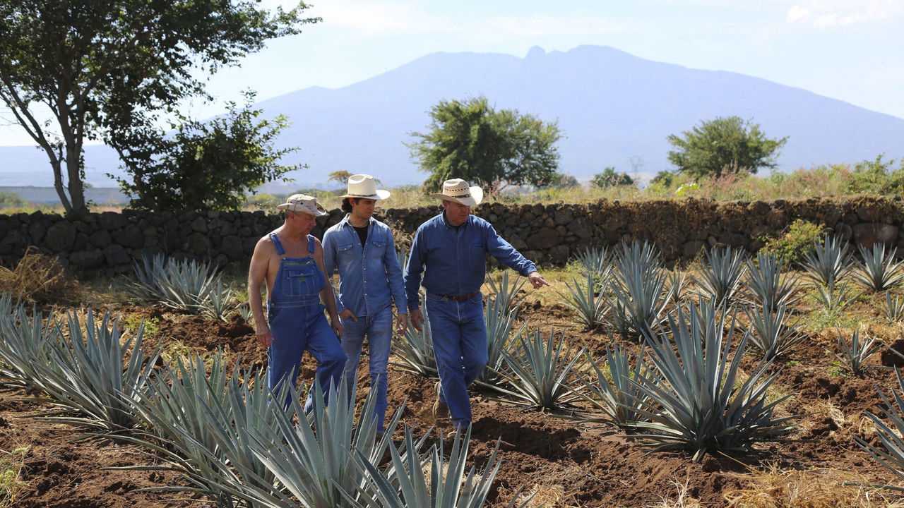 Alcool de contrebande — Épisode 13