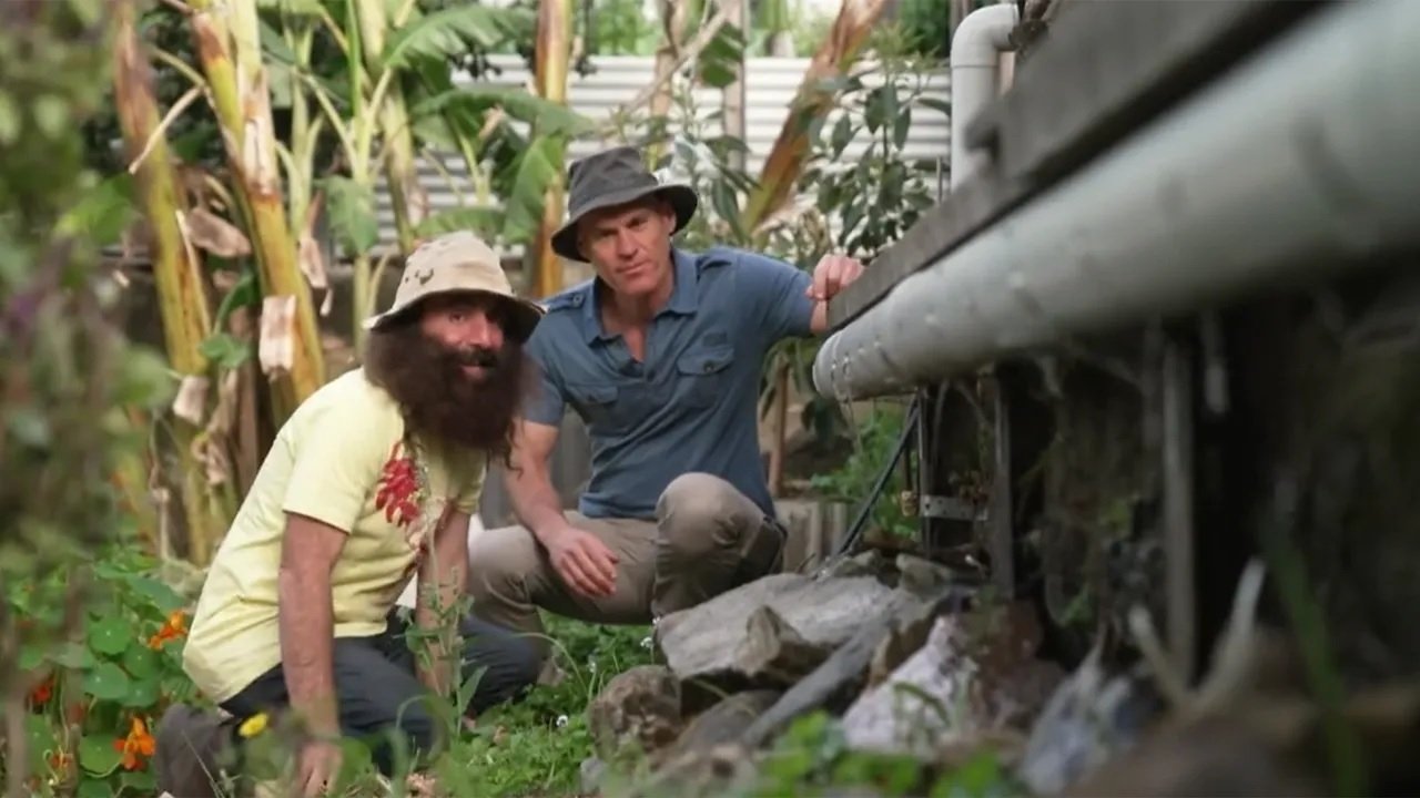 Episode 36 Native Daisies, Sustainable Garden Design & Soil Science