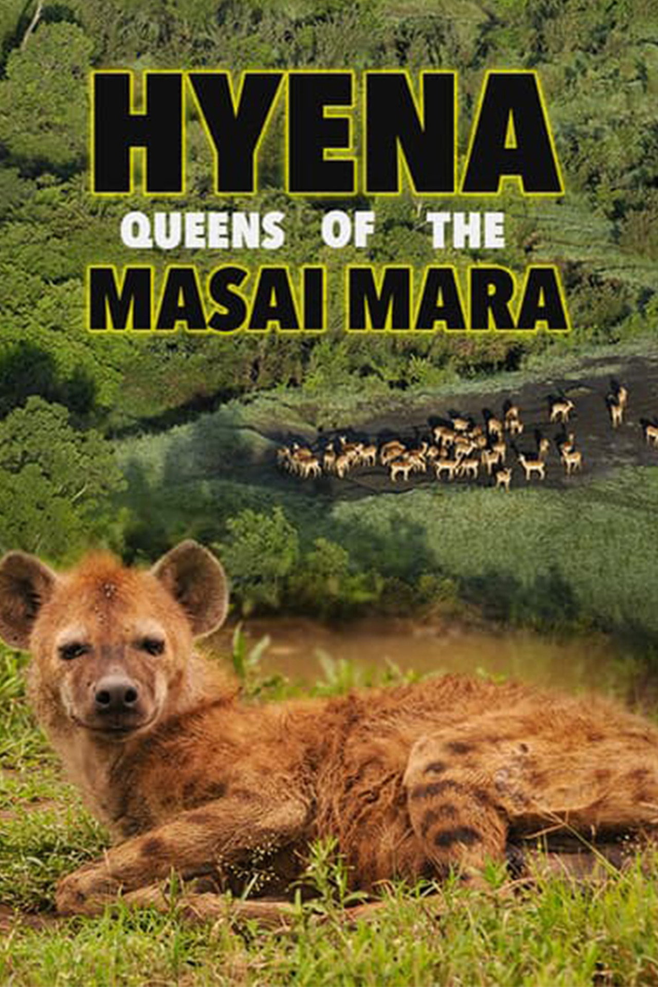 Hyena: Queen of the Masai Mara filmaffisch
