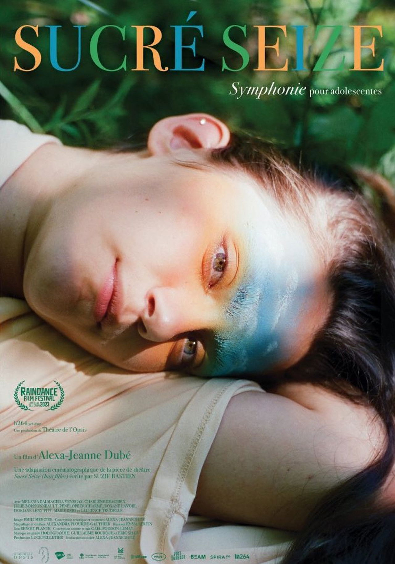 Sweet Sixteen Backdrop