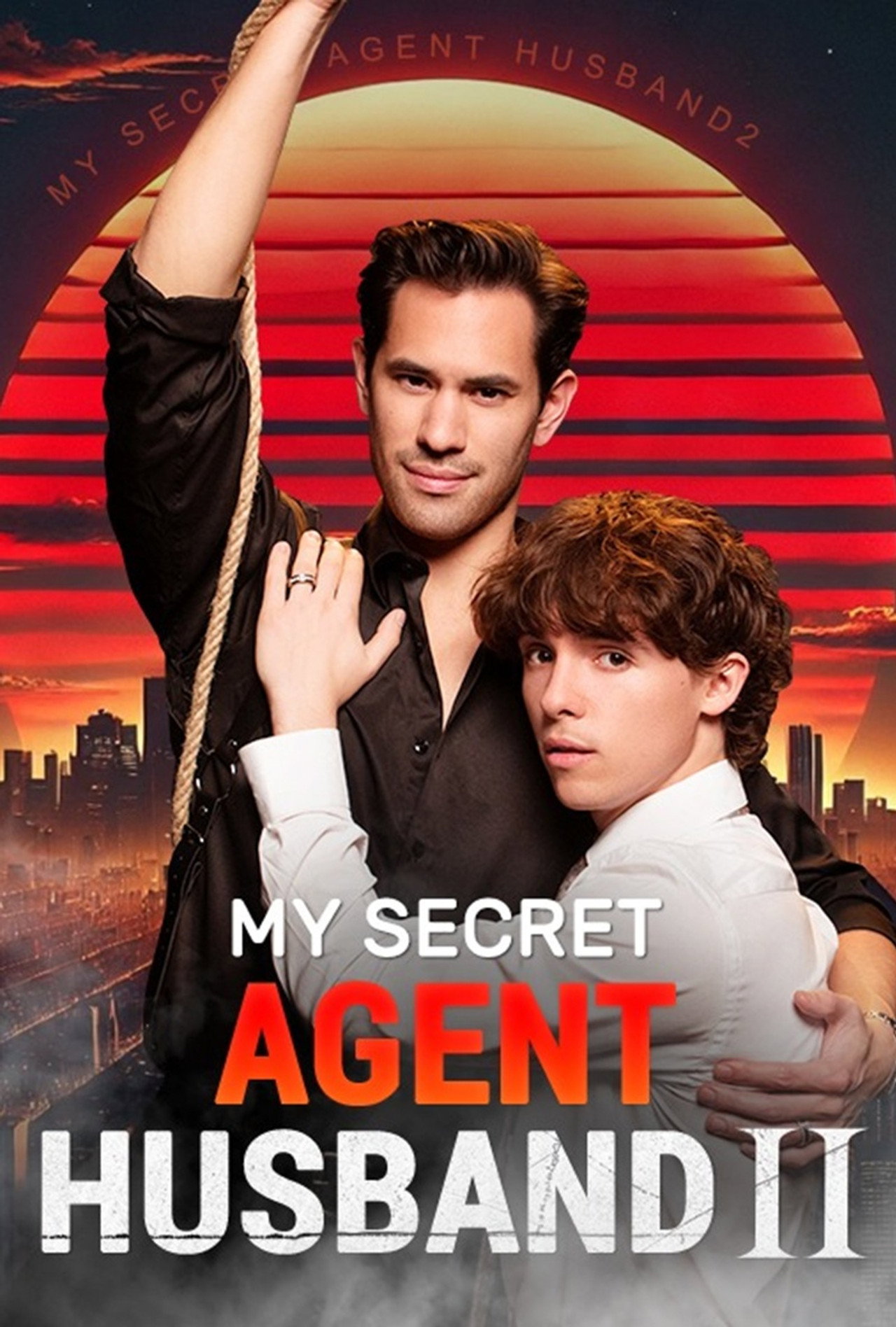 My Secret Agent Husband