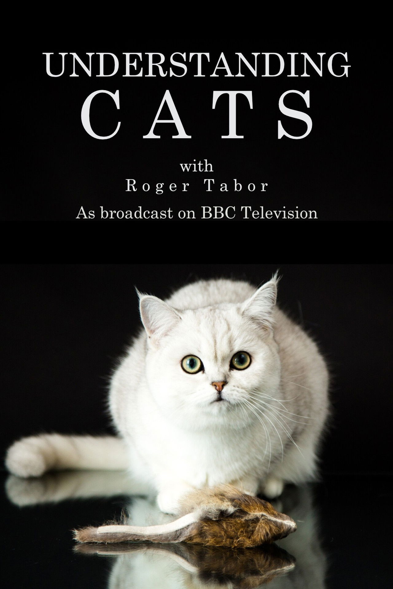 Kuptimi i Macave backdrop