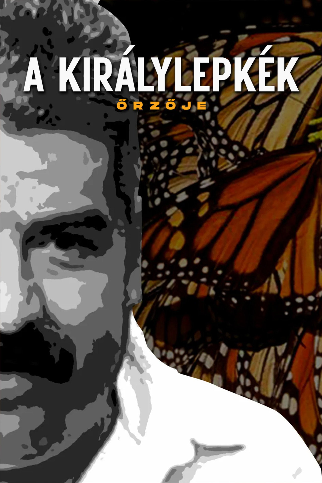 A királylepkék őrzője – plakát 6
