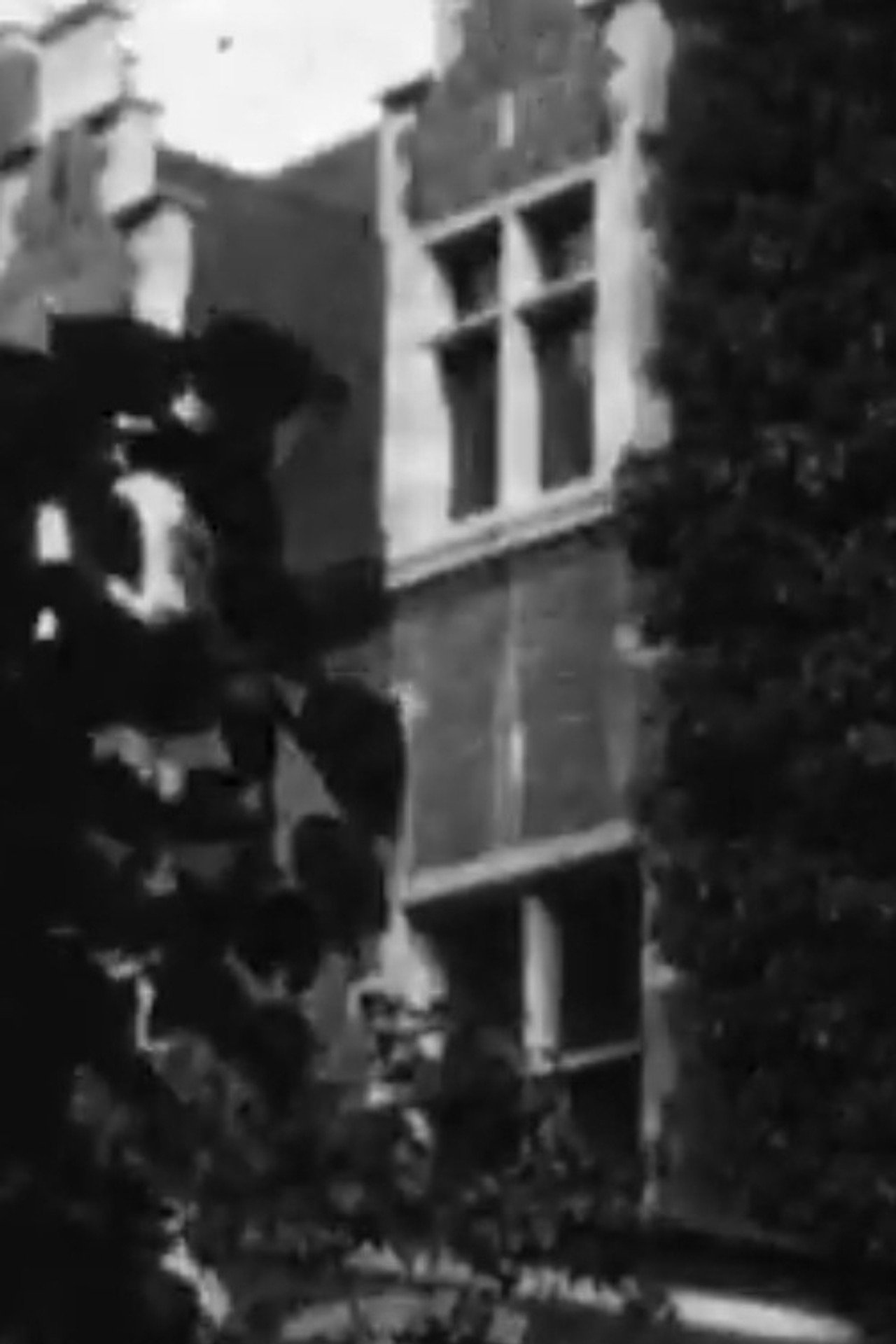 Bruxelles: La soeur et la mère de Marilyn filmaffisch