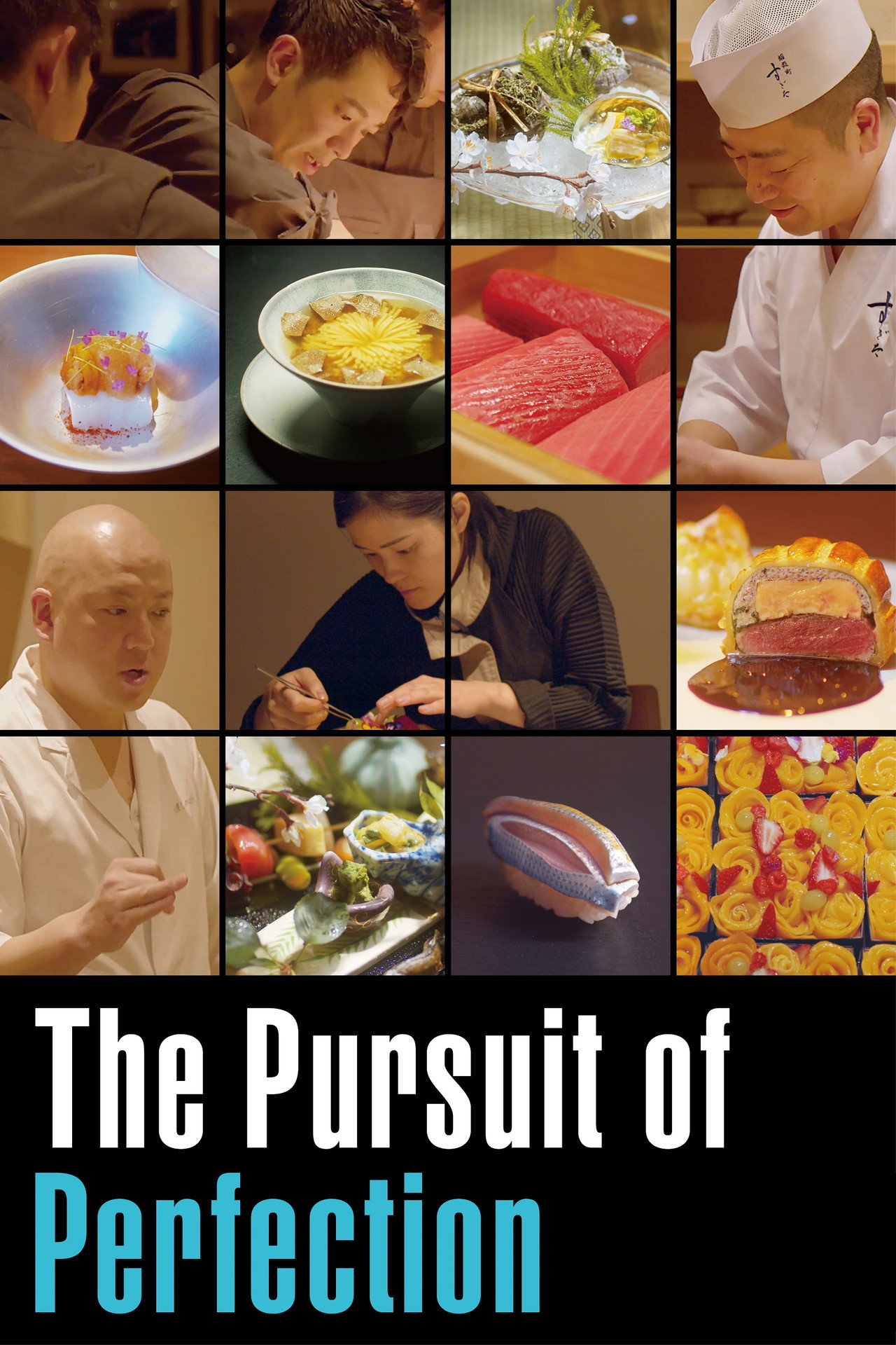 The Pursuit of Perfection filmaffisch