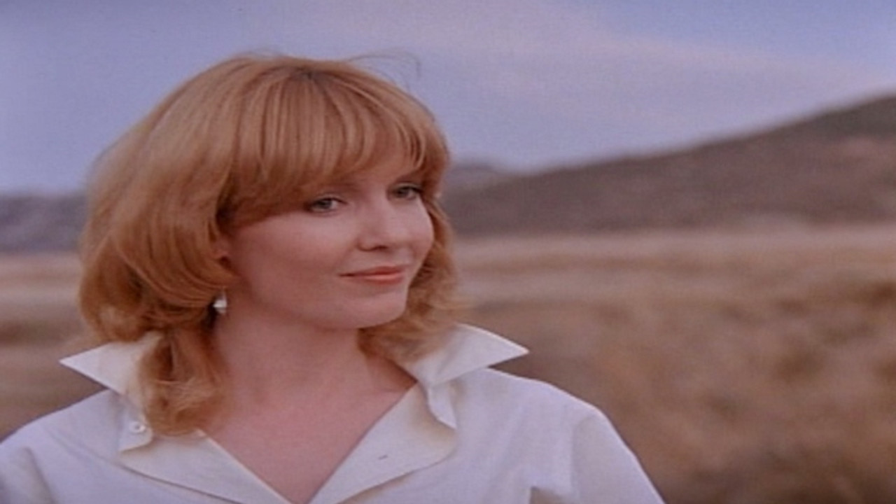 Simon & Simon — Question d'assurance