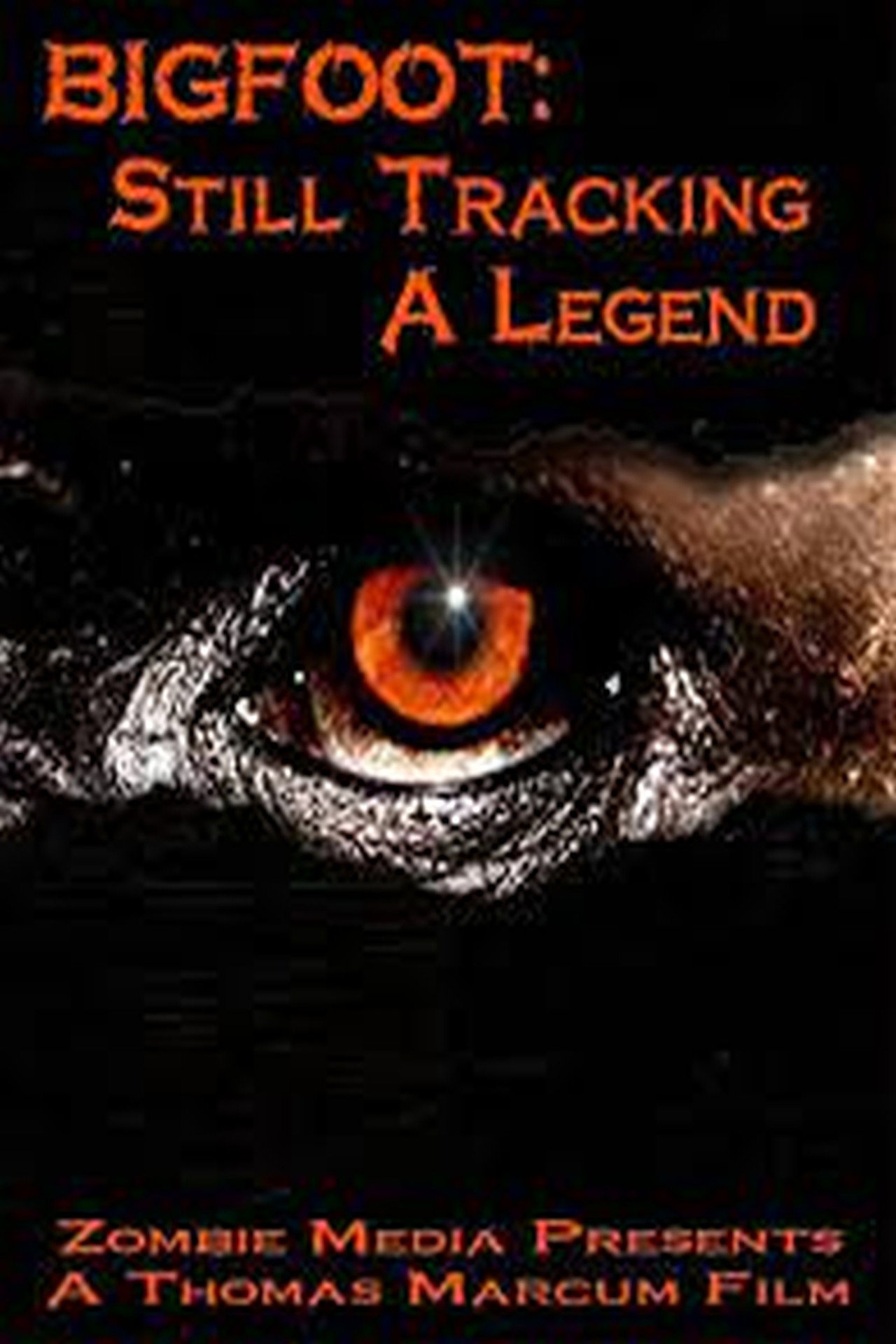 Bigfoot Still Tracking a Legend