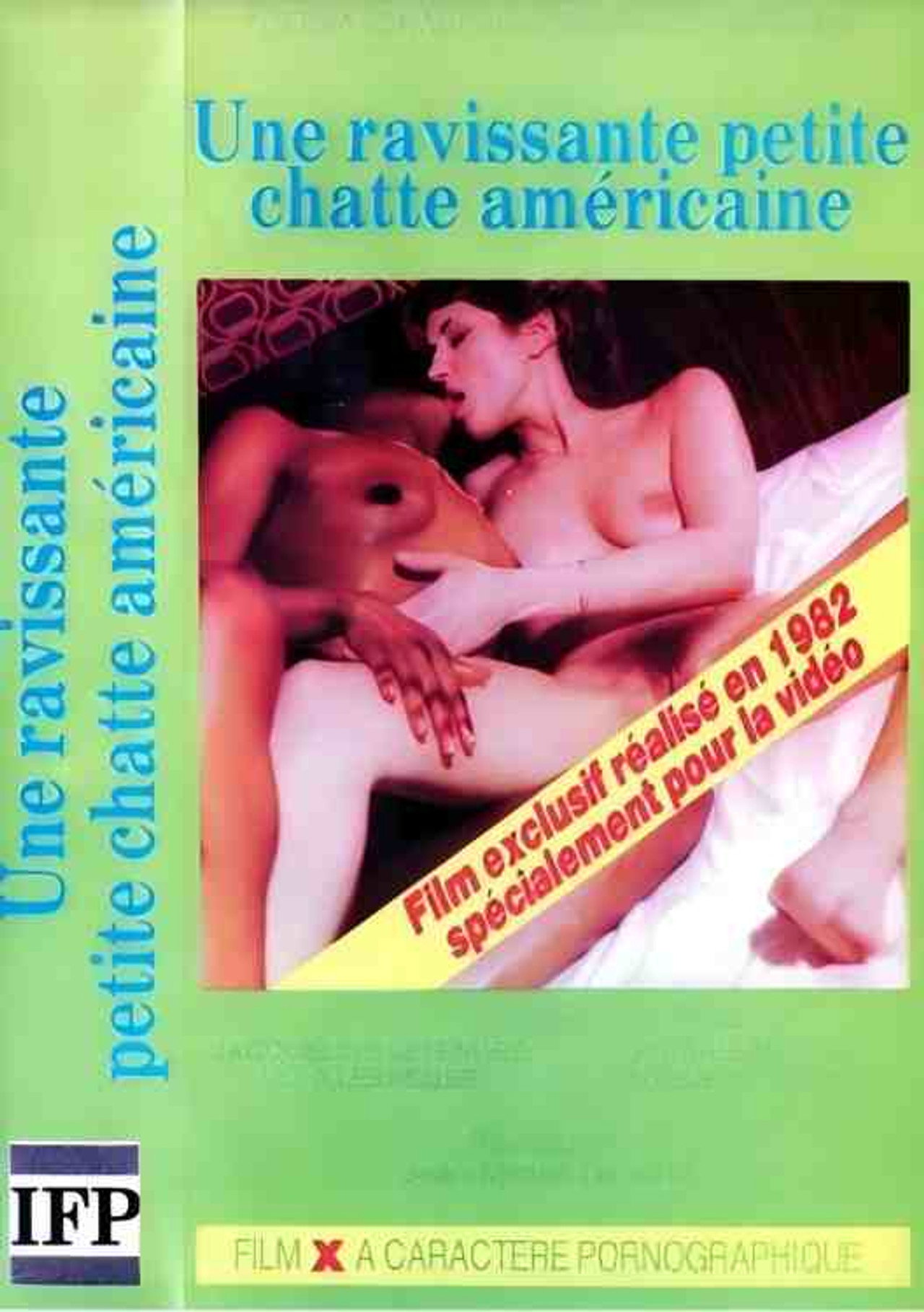 Une ravissante petite chatte americaine
