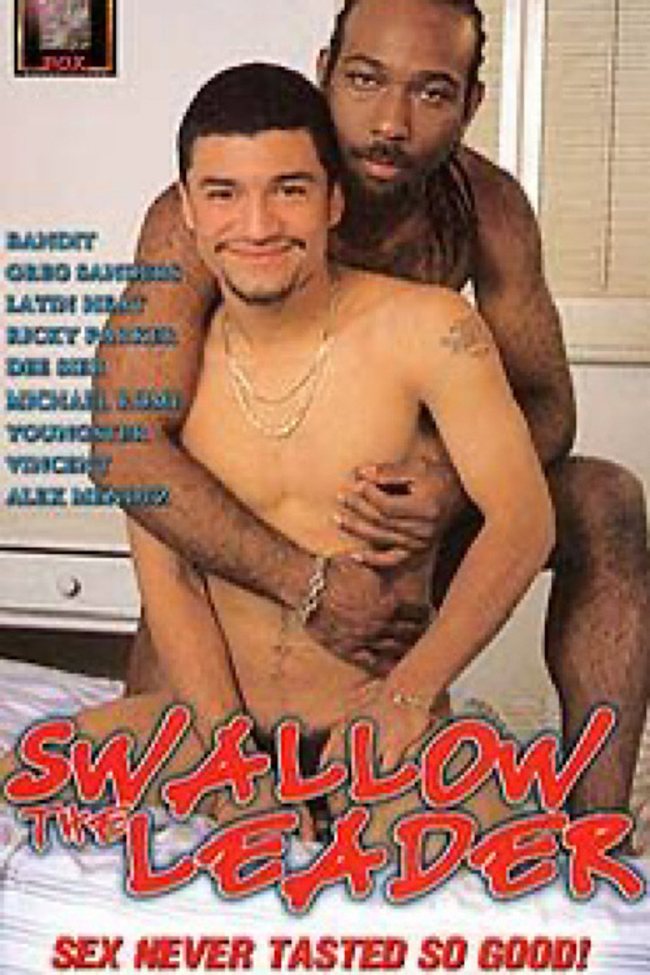Swallow the Leader filmaffisch