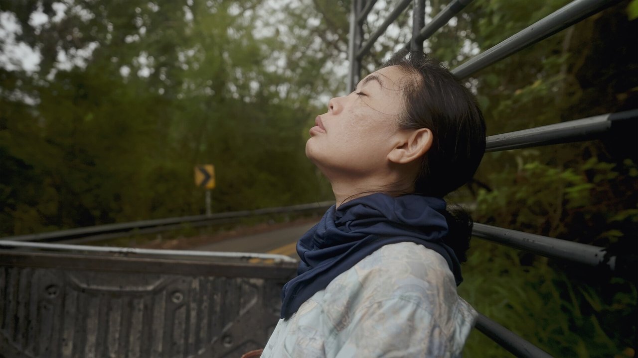 Because Watching Pacifies