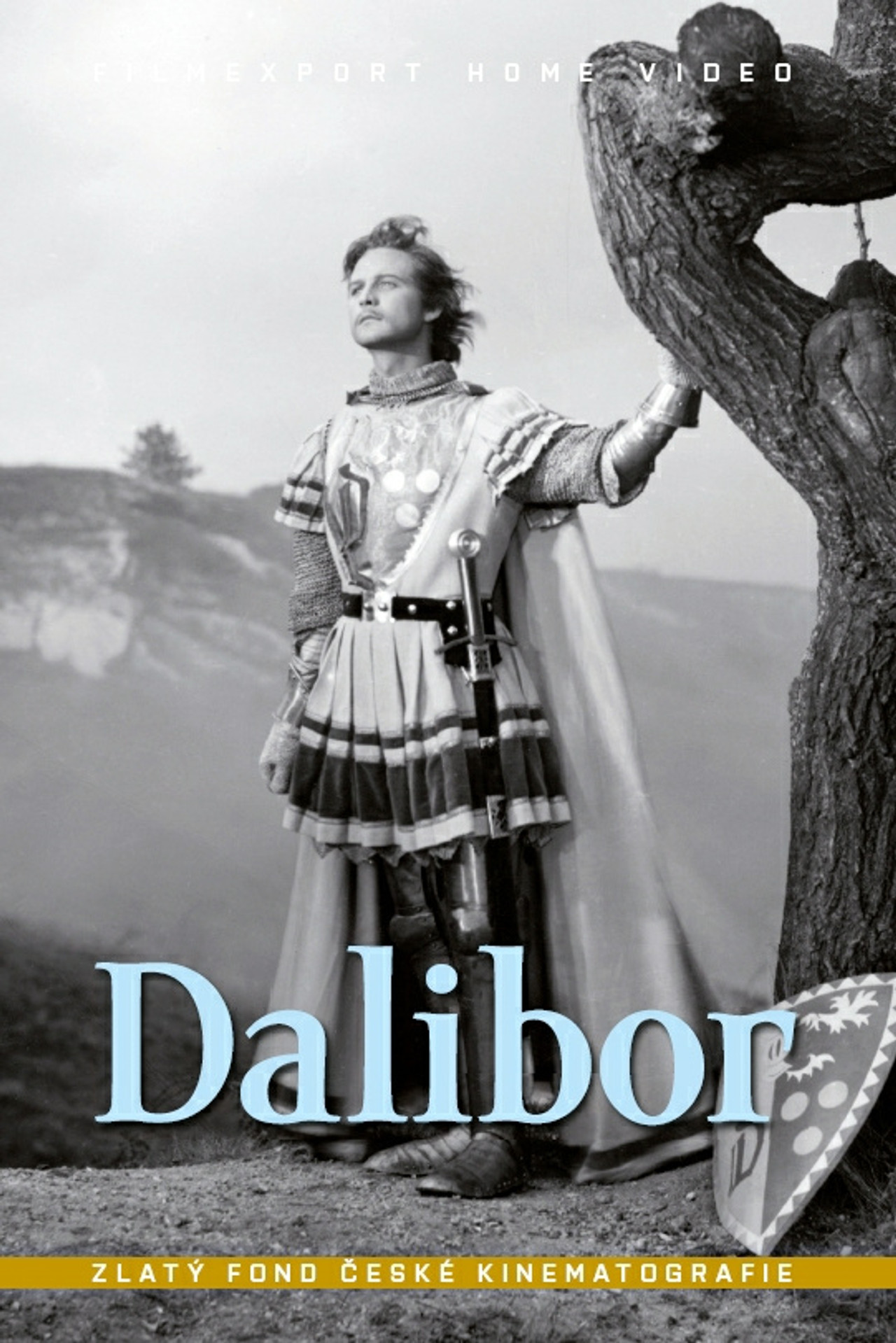 Dalibor filmaffisch