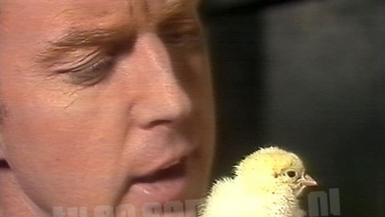 André Van Duin - De Muziekspecials — Épisode 4