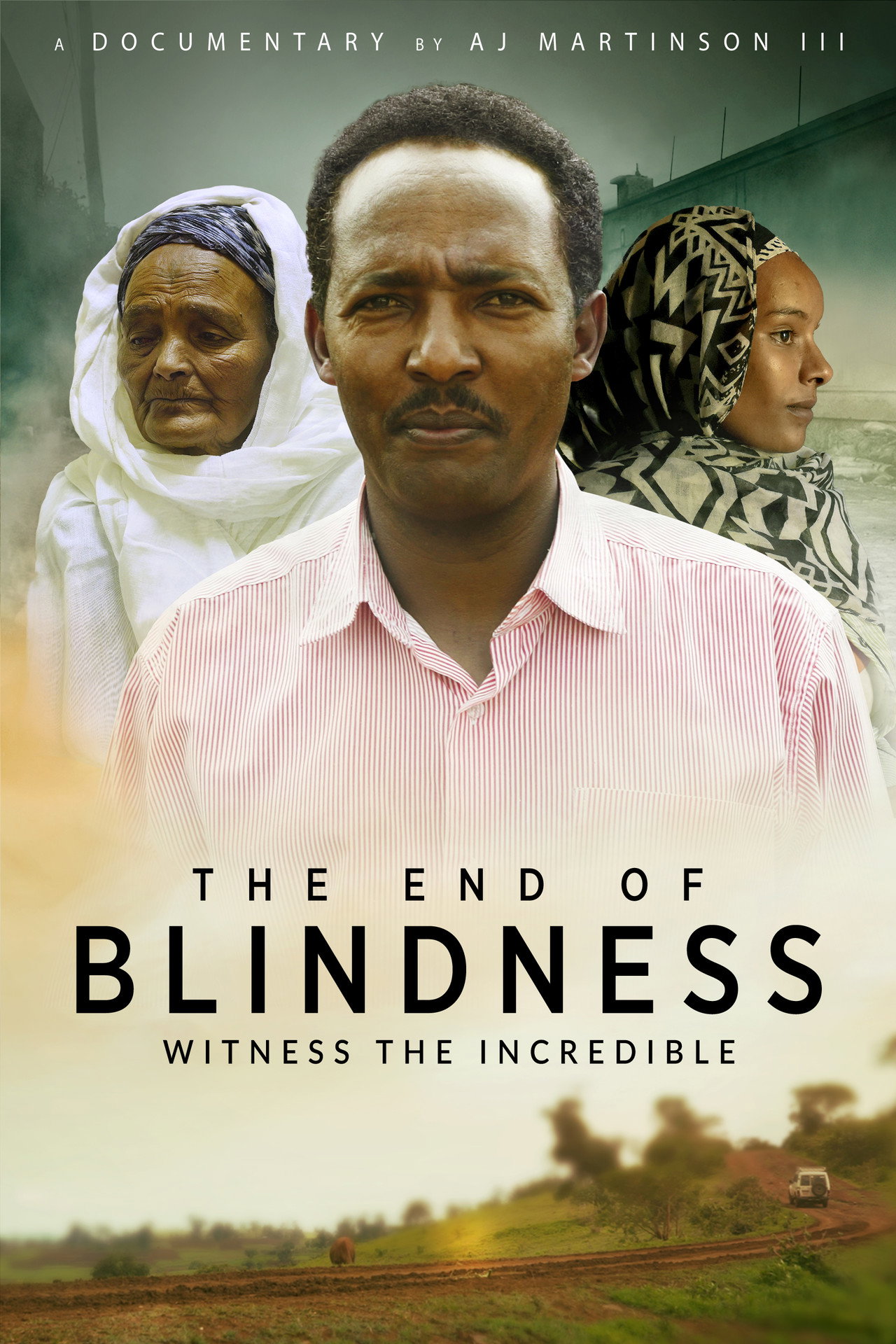 The End of Blindness filmaffisch