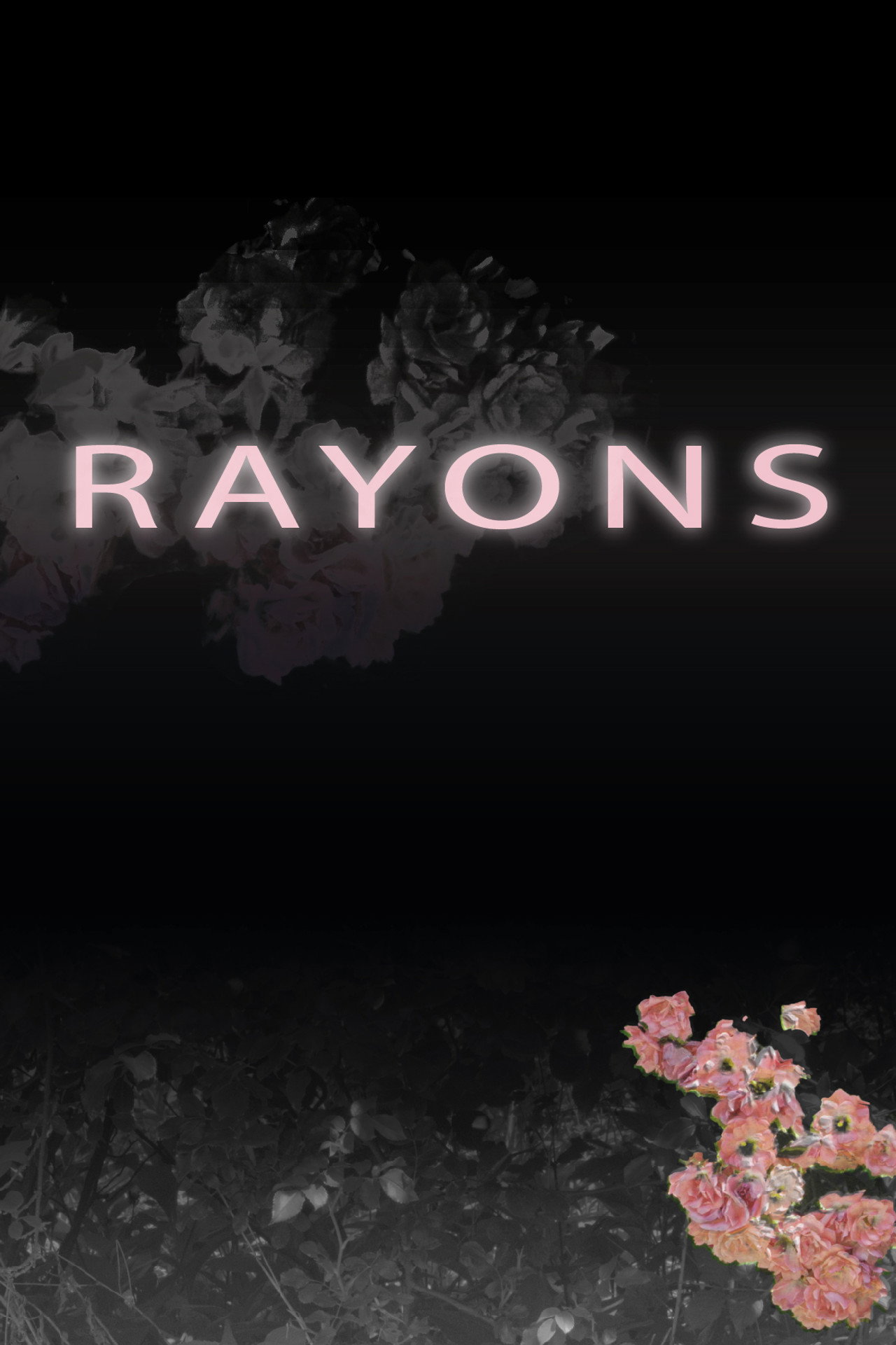 Rayons poster