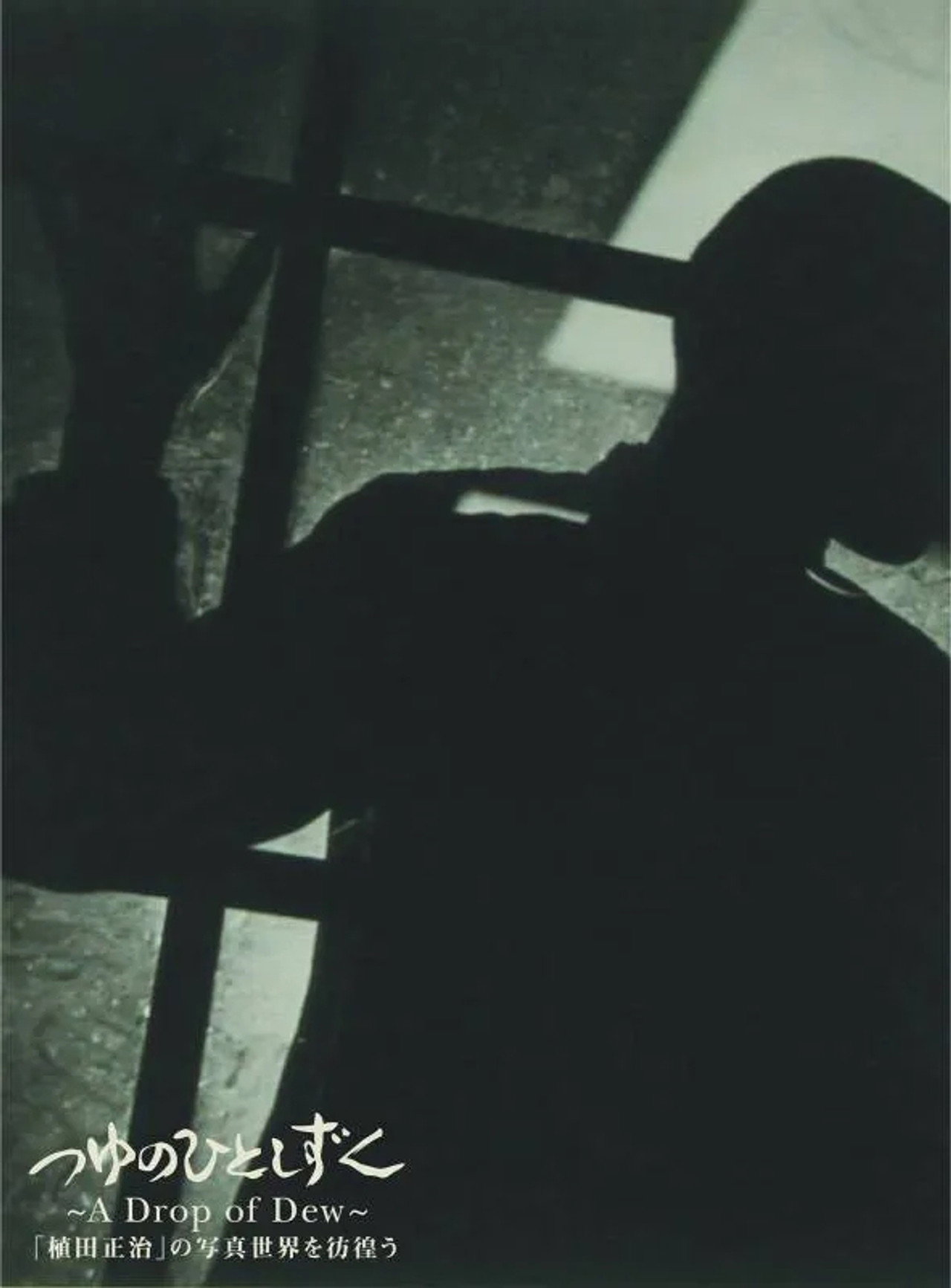 つゆのひとしずく～植田正治の写真世界を彷徨う～ filmaffisch