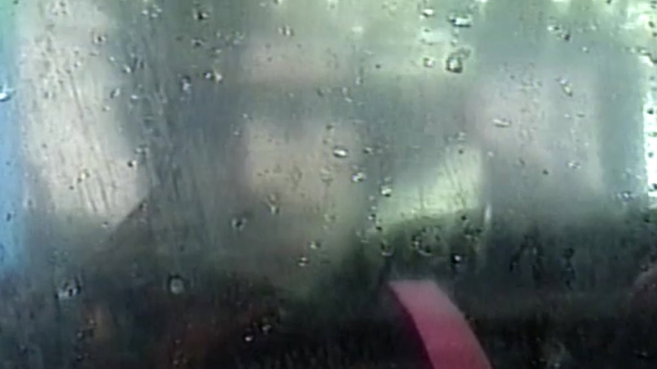 A Lobster Walks Into A Bar