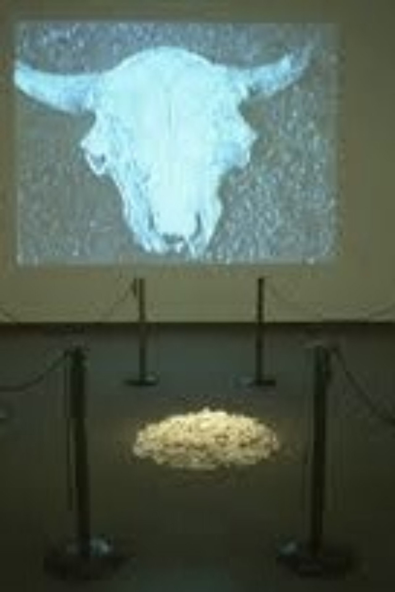 Buffalo Bone China filmaffisch