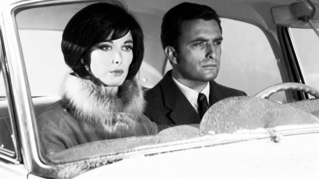 Peyton Place — Épisode 64