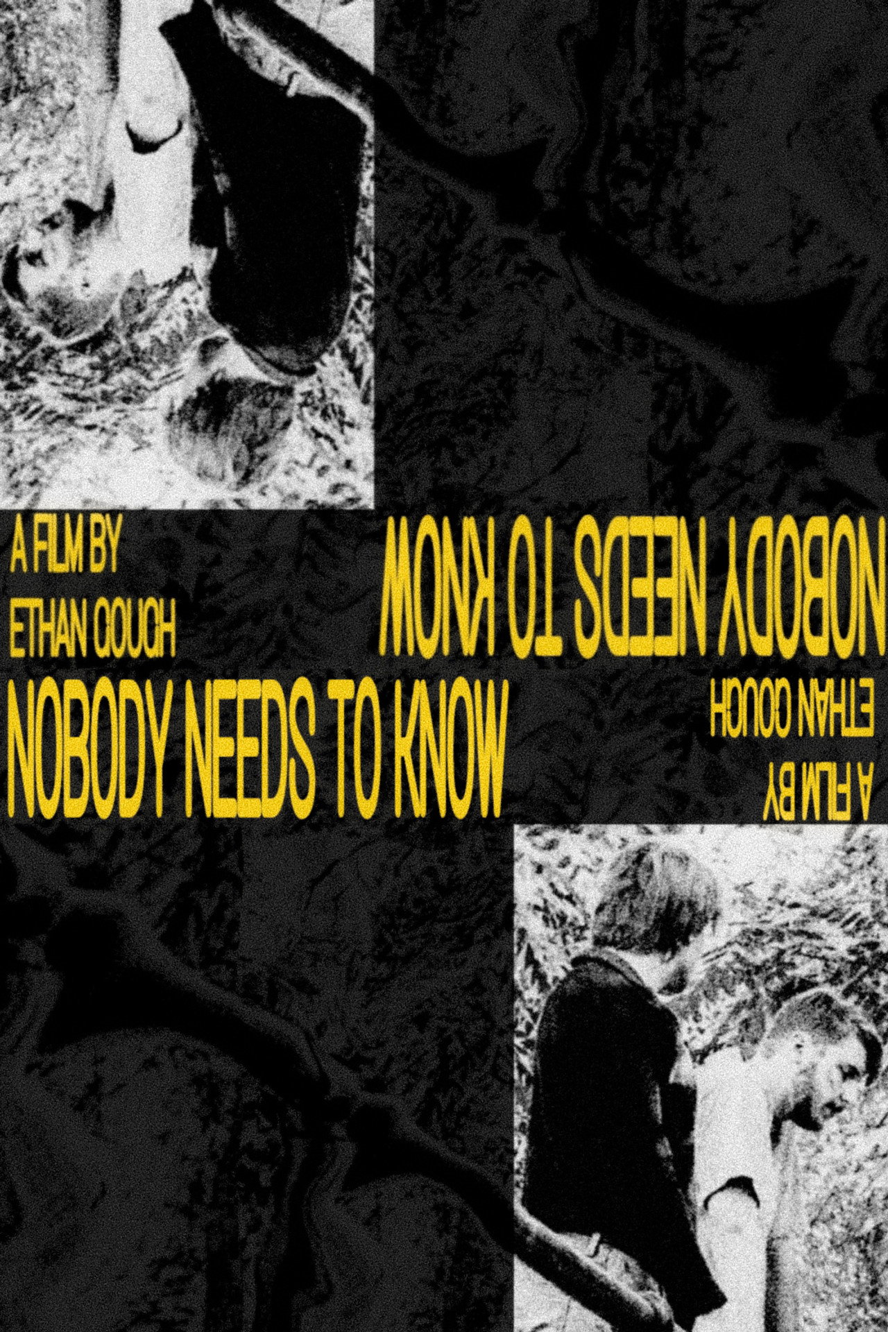 Nobody Needs To Know Backdrop
