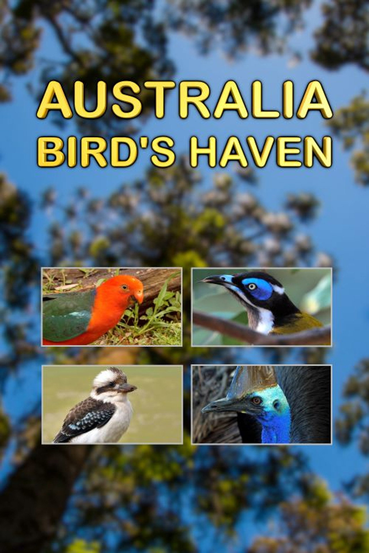 Australia, Bird's Haven Backdrop