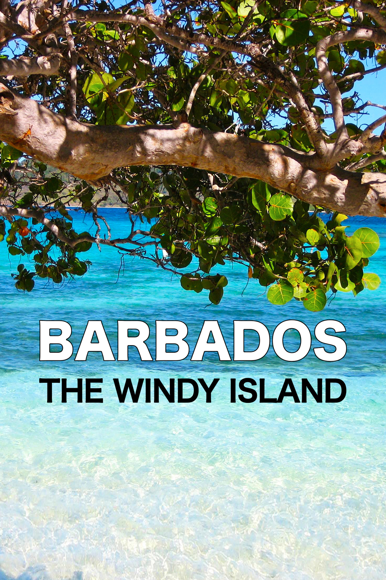 Barbados the Windy Island Backdrop