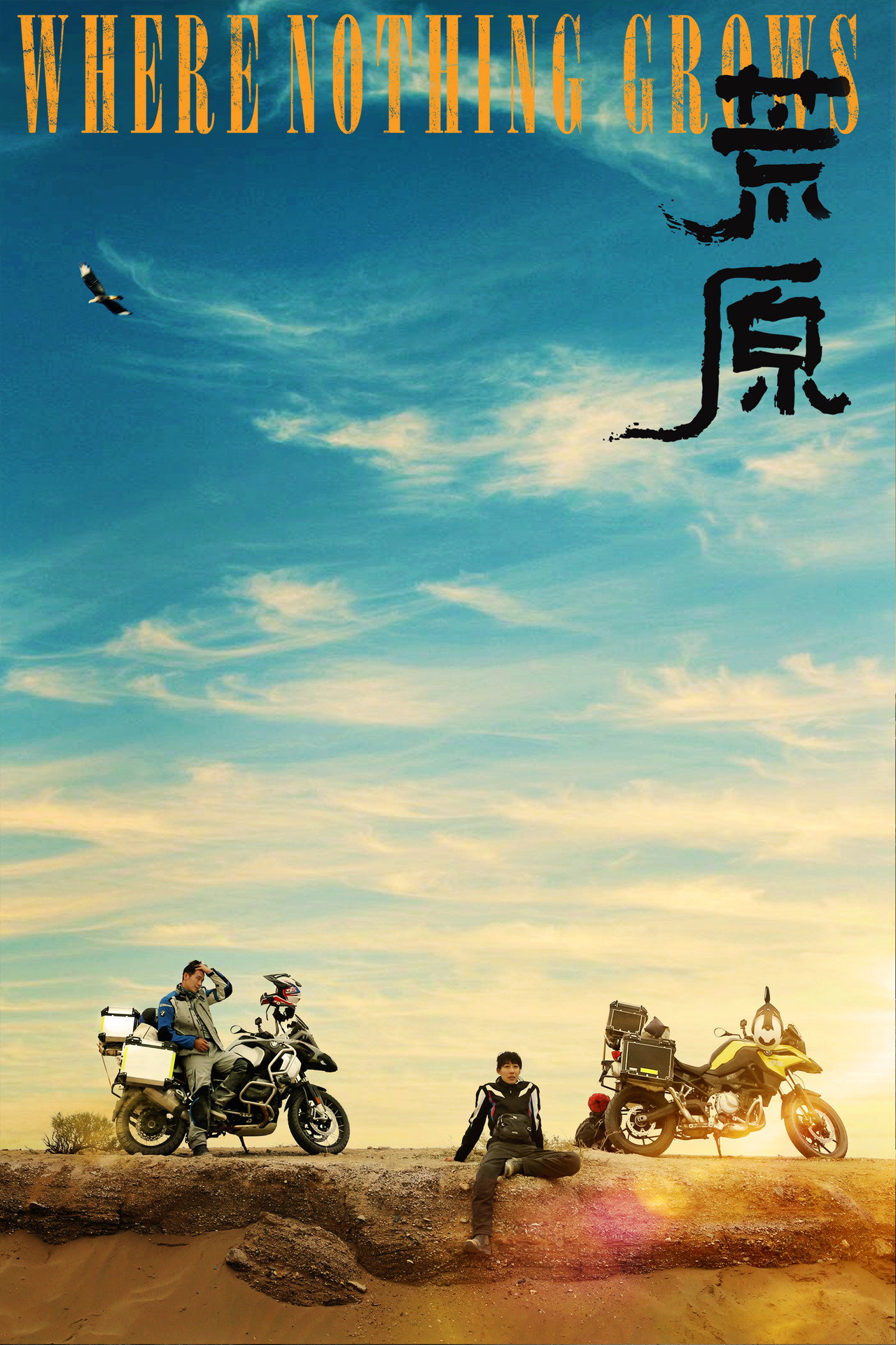 荒原 filmaffisch