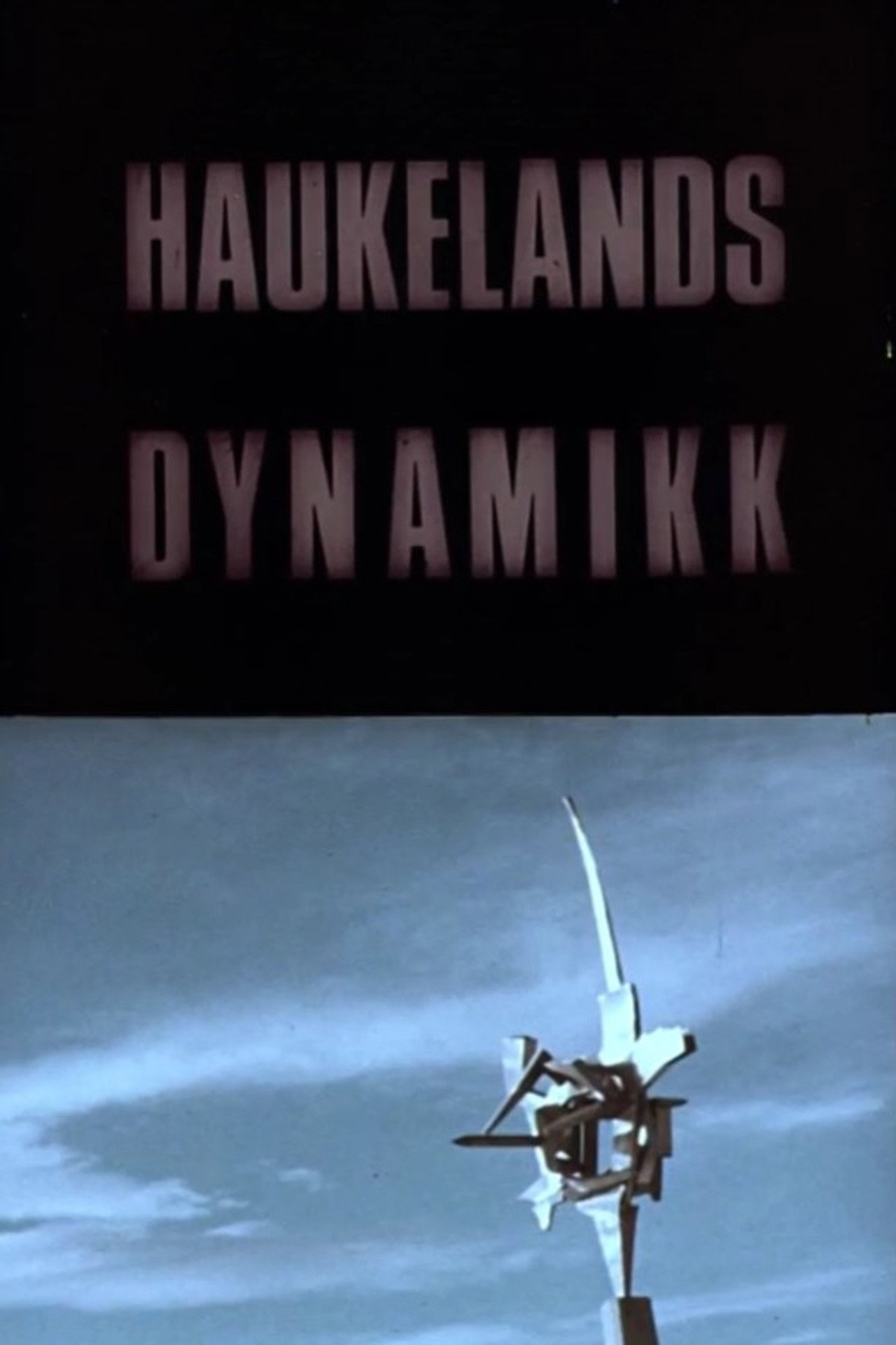 Oslofilm: Haukelands dynamikk filmaffisch