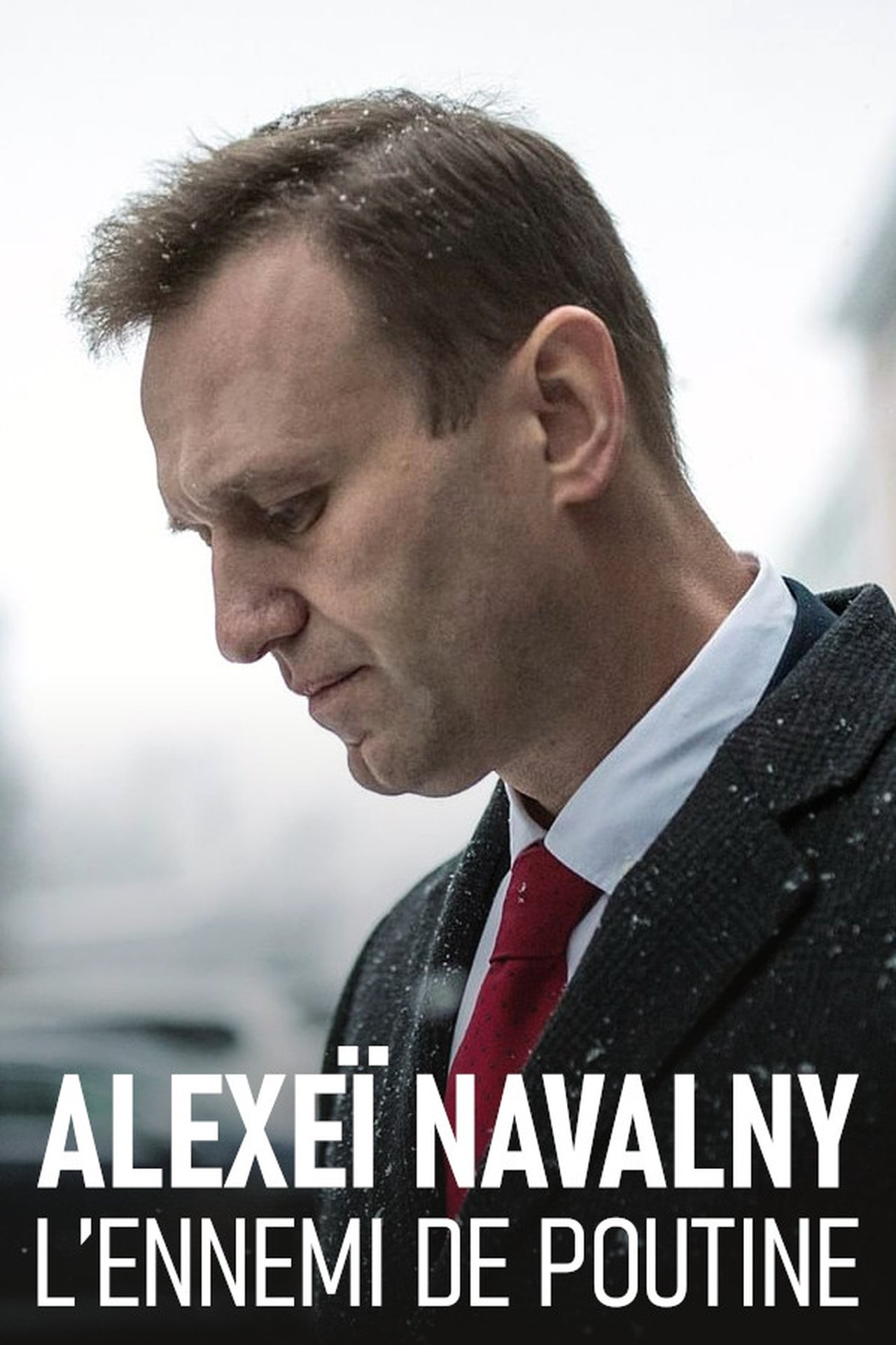 Navalny, l'ennemi de Poutine poster
