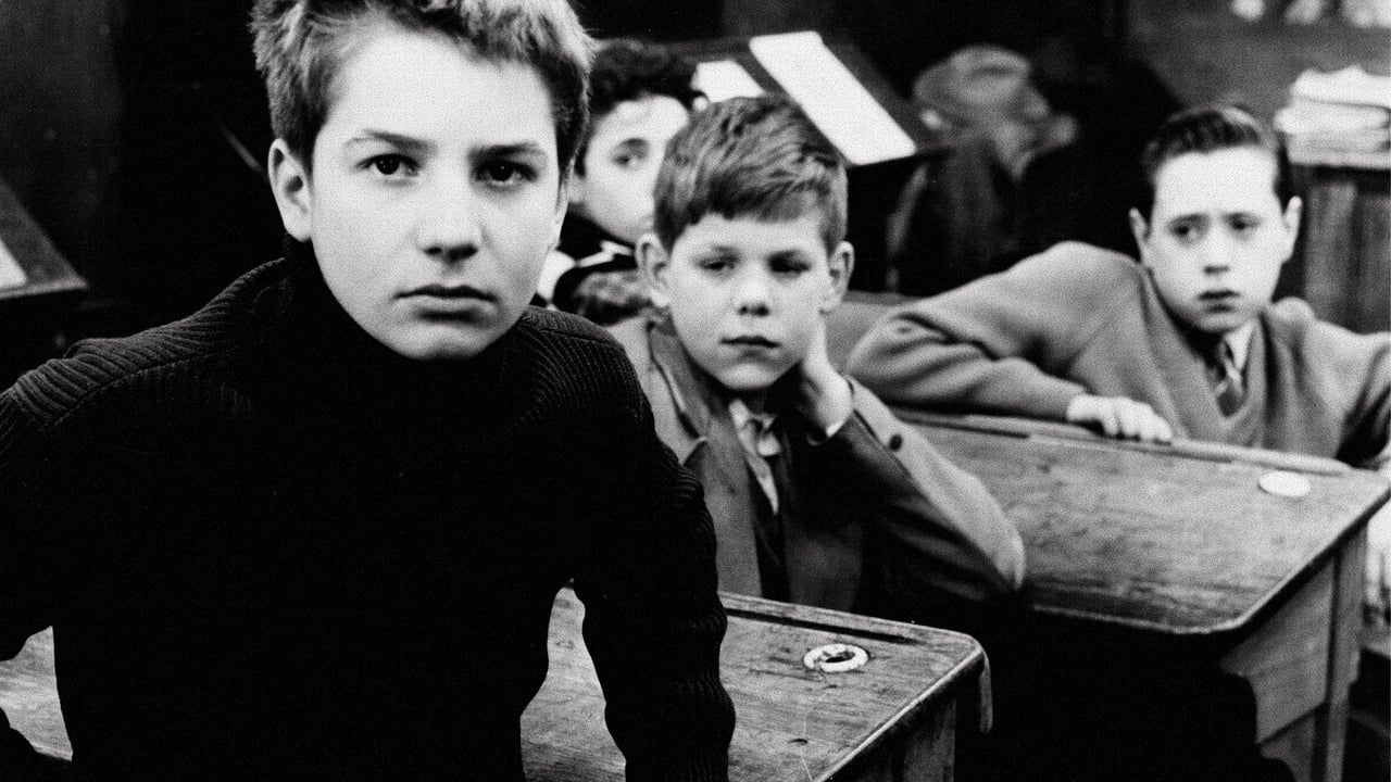 The 400 Blows Backdrop Image