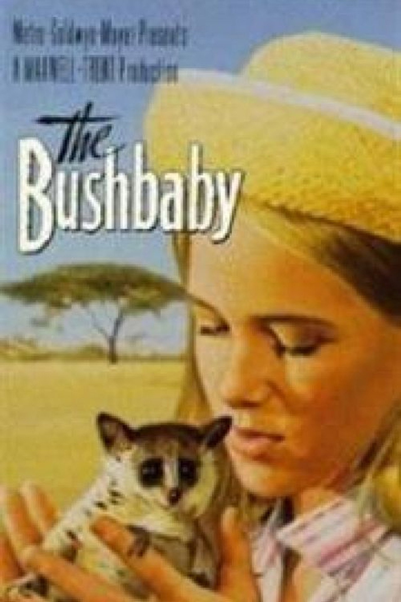 Das Buschbaby