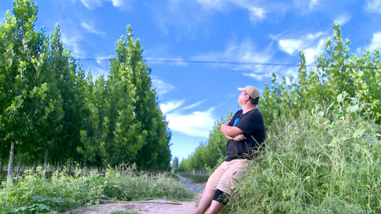 Asia Insight — Épisode 19