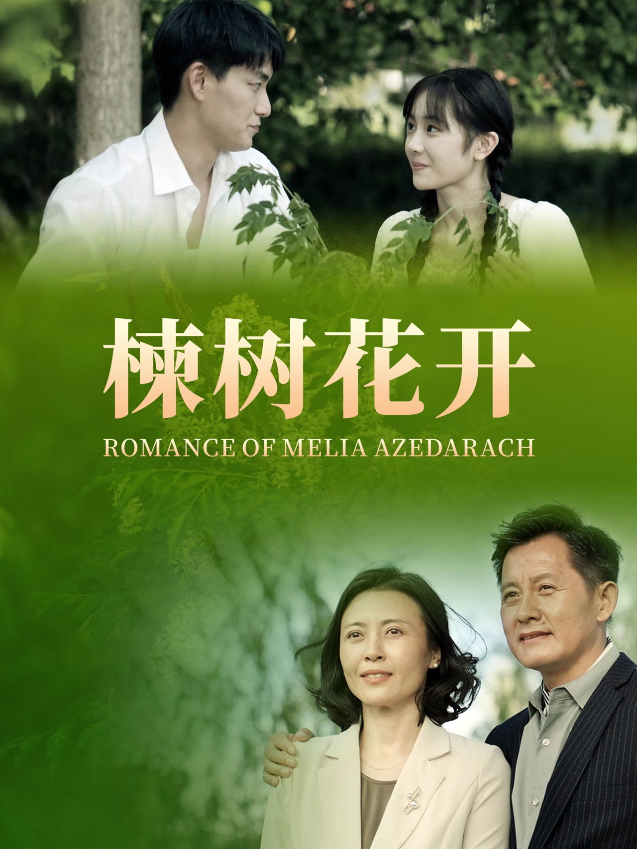 楝树花开 filmaffisch