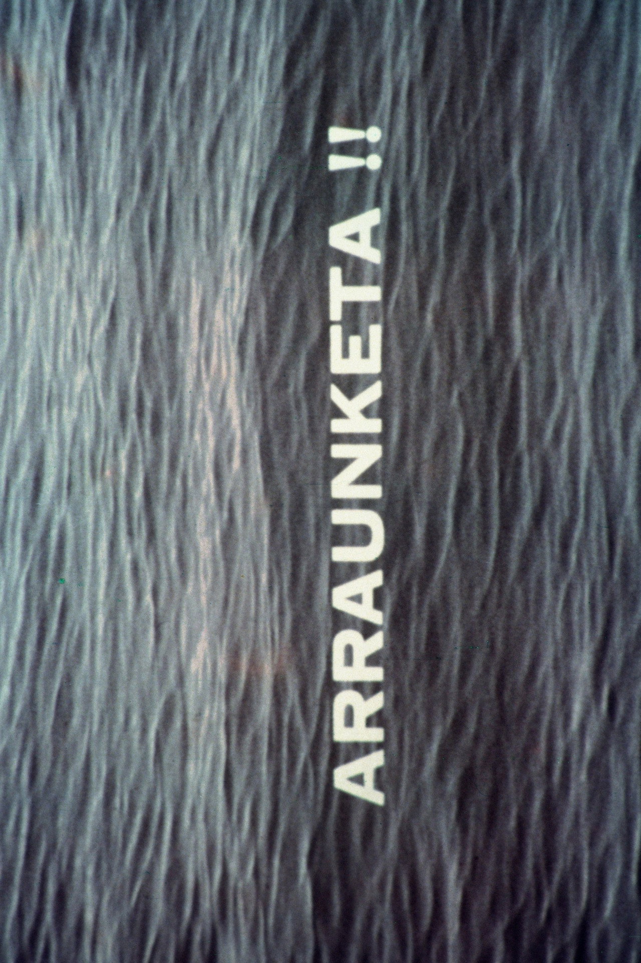 Arraunketa !!