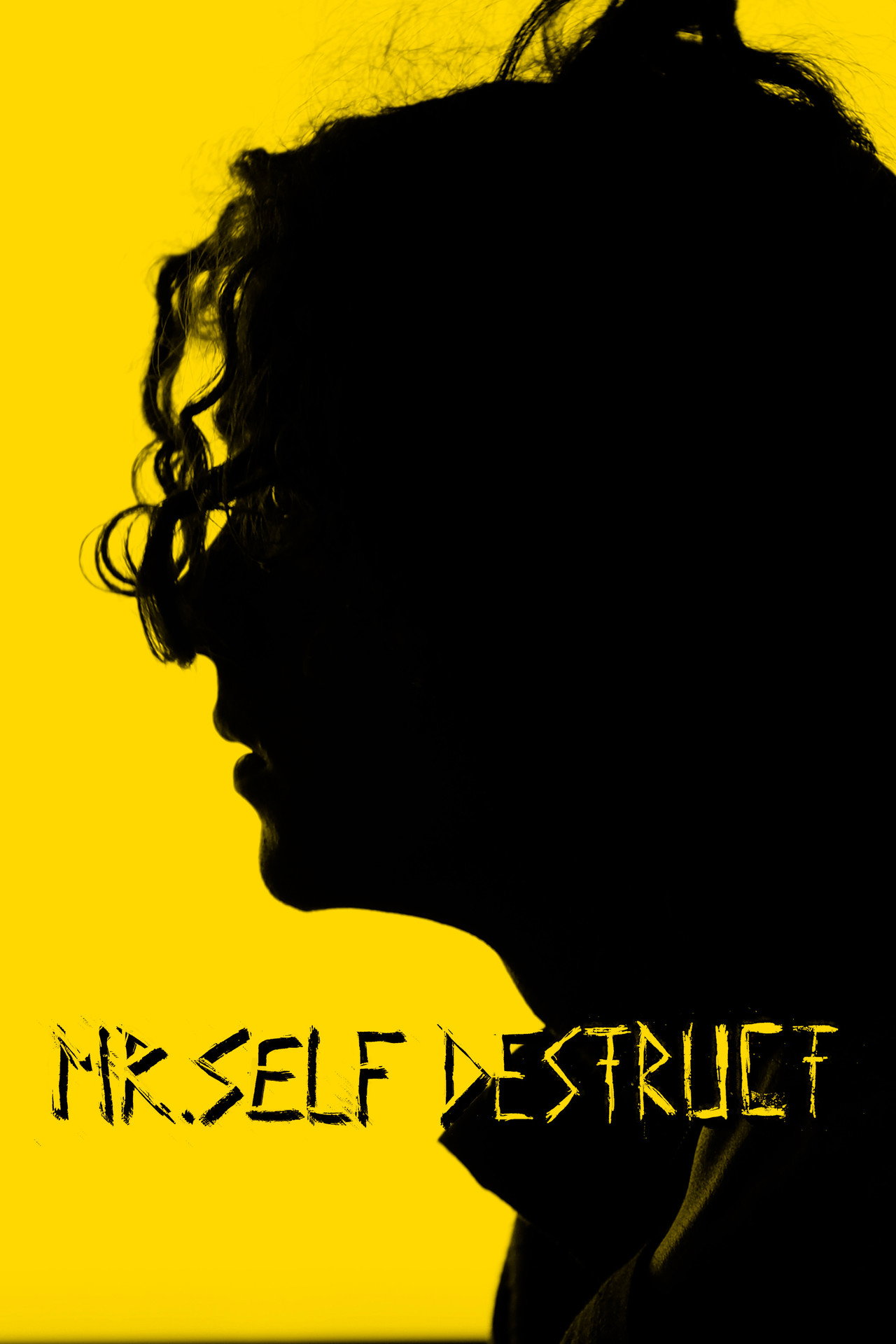 MR. SELF DESTRUCT filmaffisch