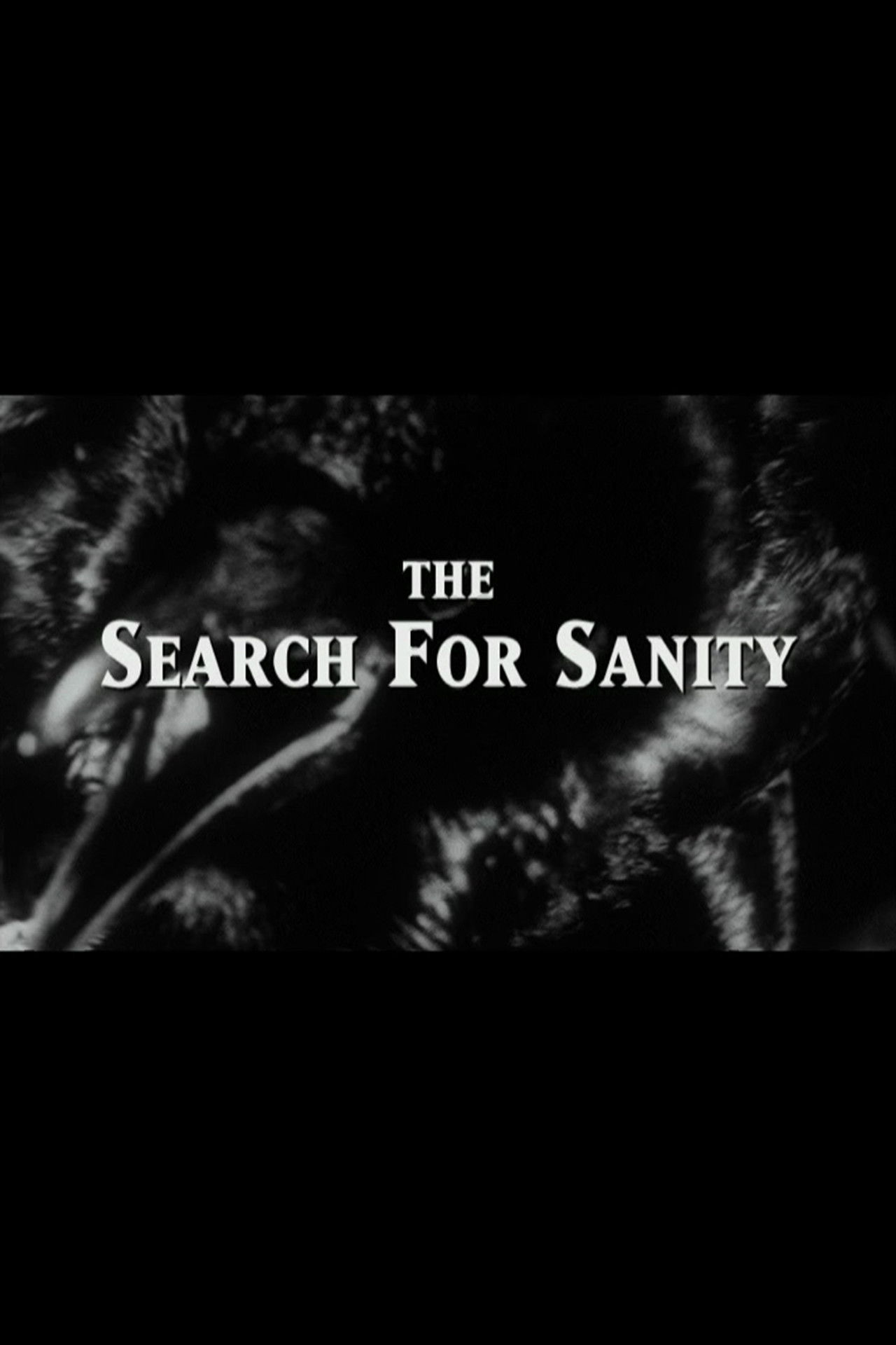 The Search for Sanity Backdrop