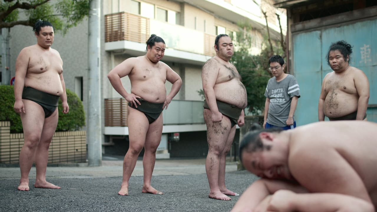 Image El aprendiz de sumo