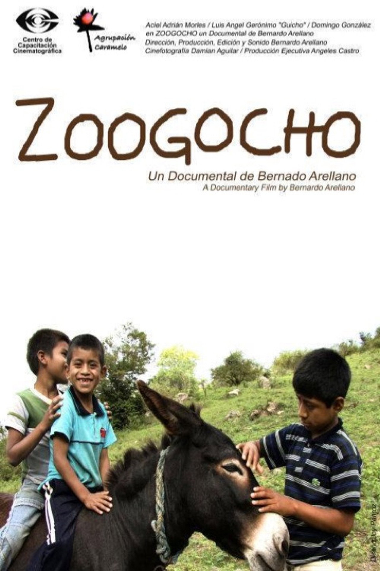 Zoogocho filmaffisch