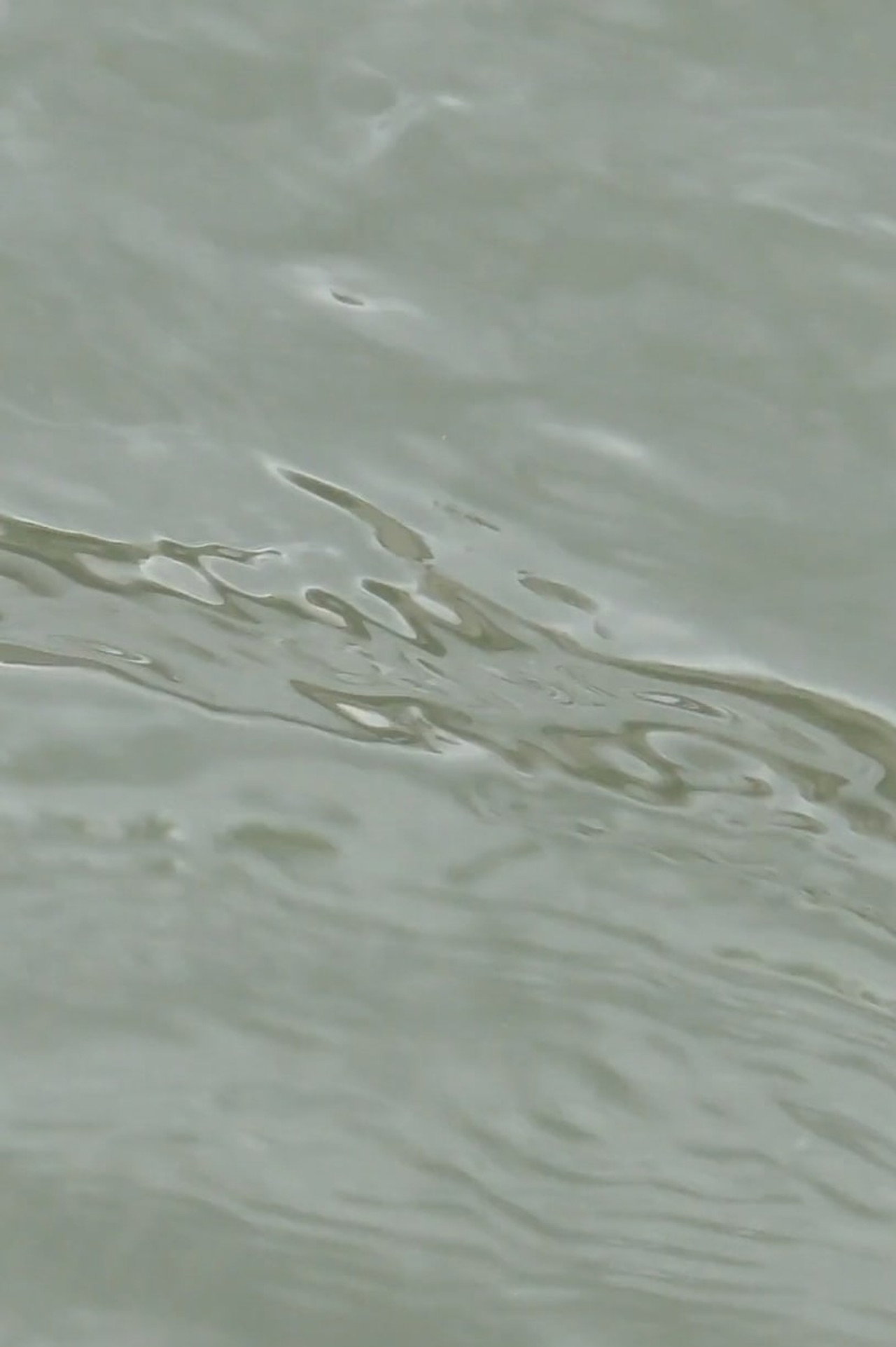 entre les vagues (un hommage) filmaffisch