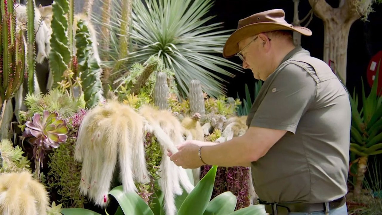 Episode 17 Habitat, Camellia, Seedling, Herbs & Collector
