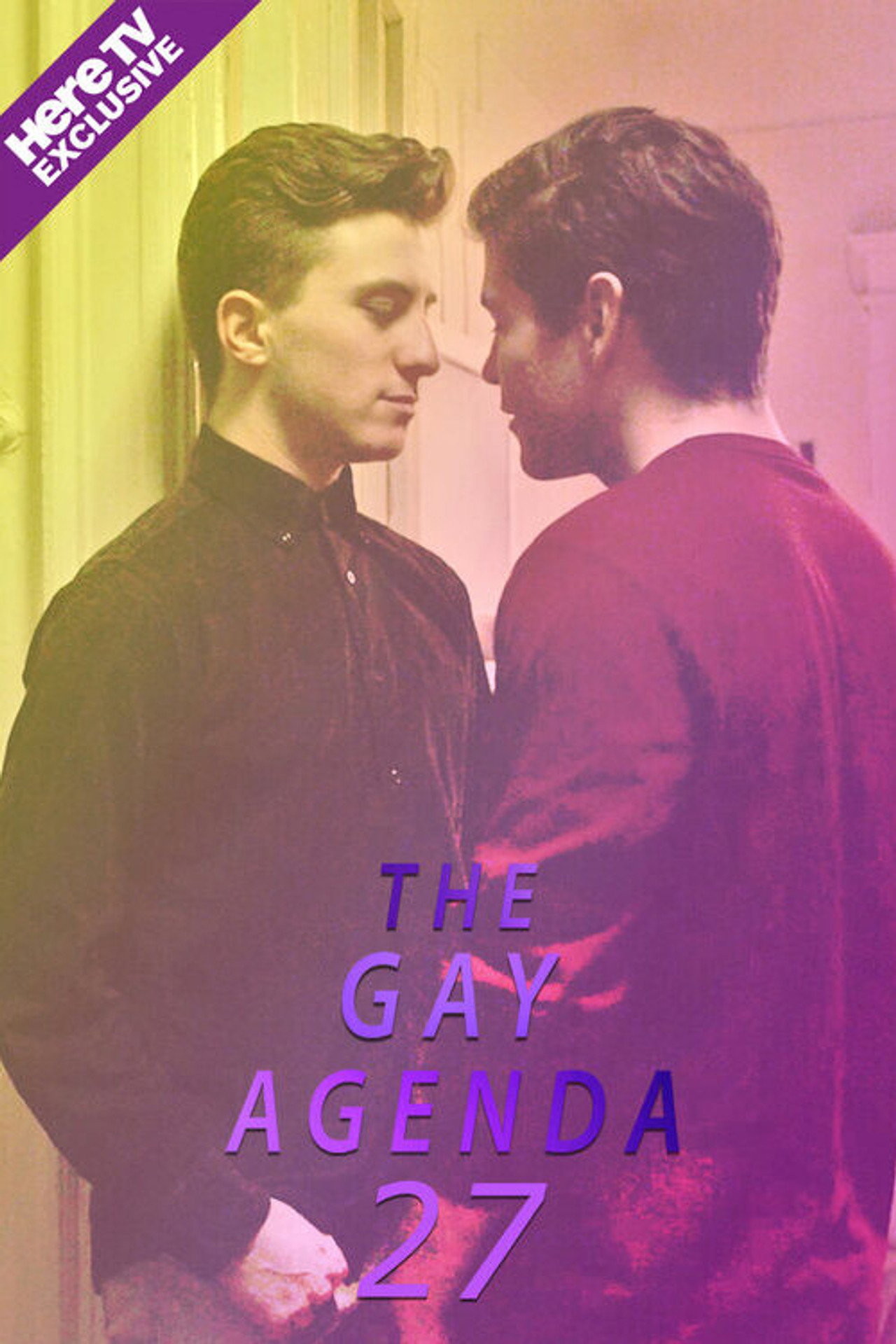 The Gay Agenda 27 filmaffisch