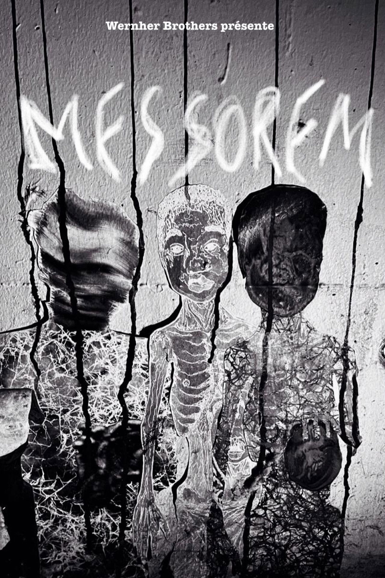 MESSOREM Backdrop