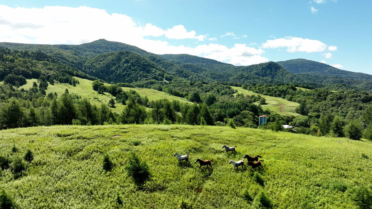 新日本風土記 — Épisode 42