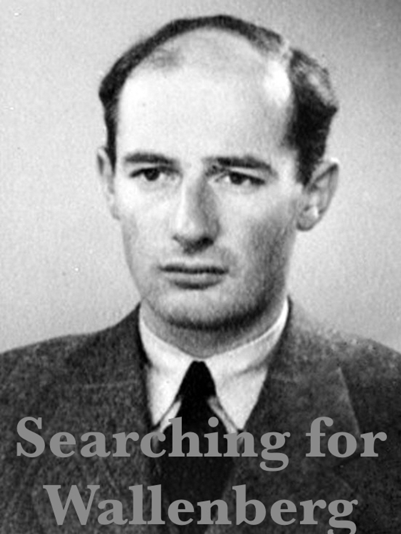 Searching for Wallenberg (2003)