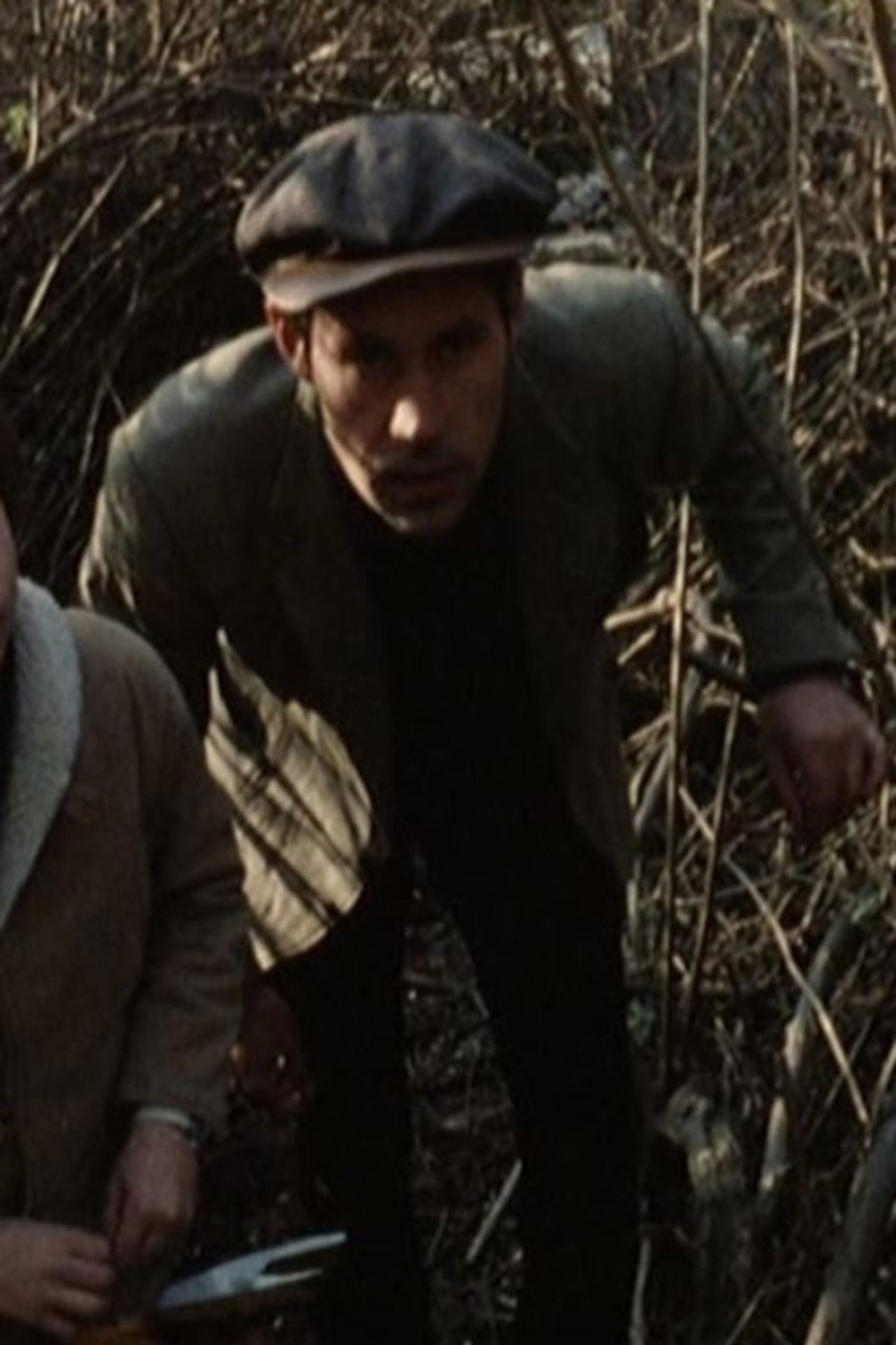 Visage de chien Backdrop