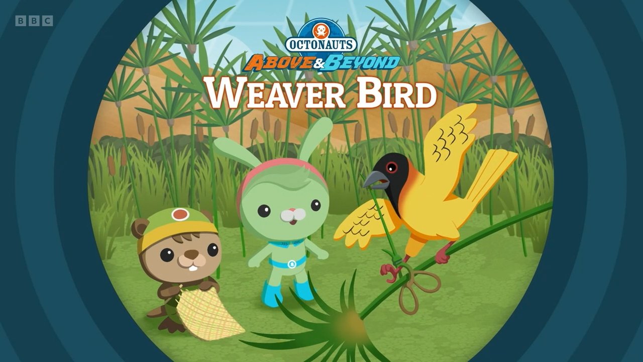 Octonauts: Above & Beyond - Season 3 Episode 17 : Weaver Bird