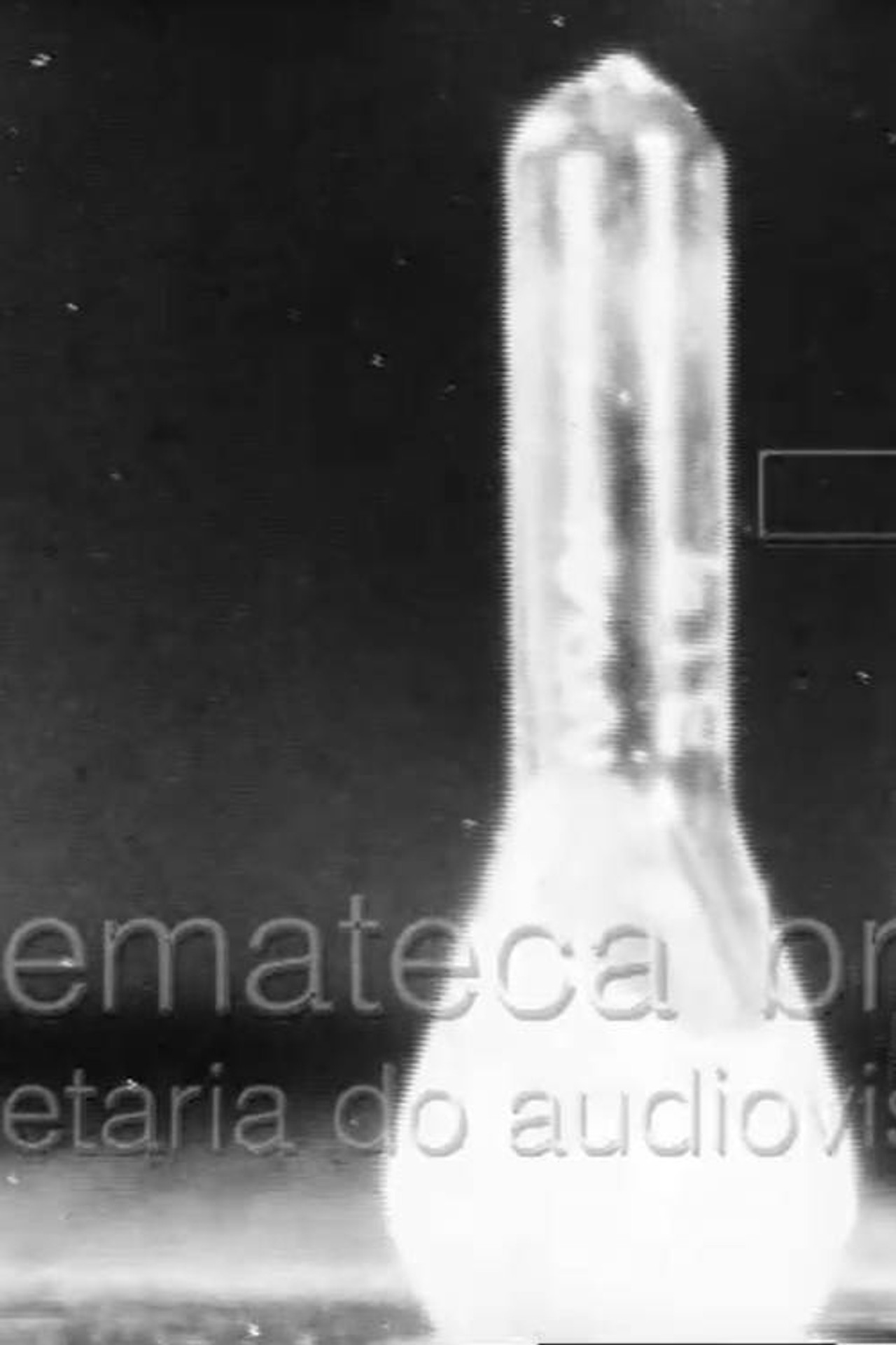 Febre Amarela I filmaffisch