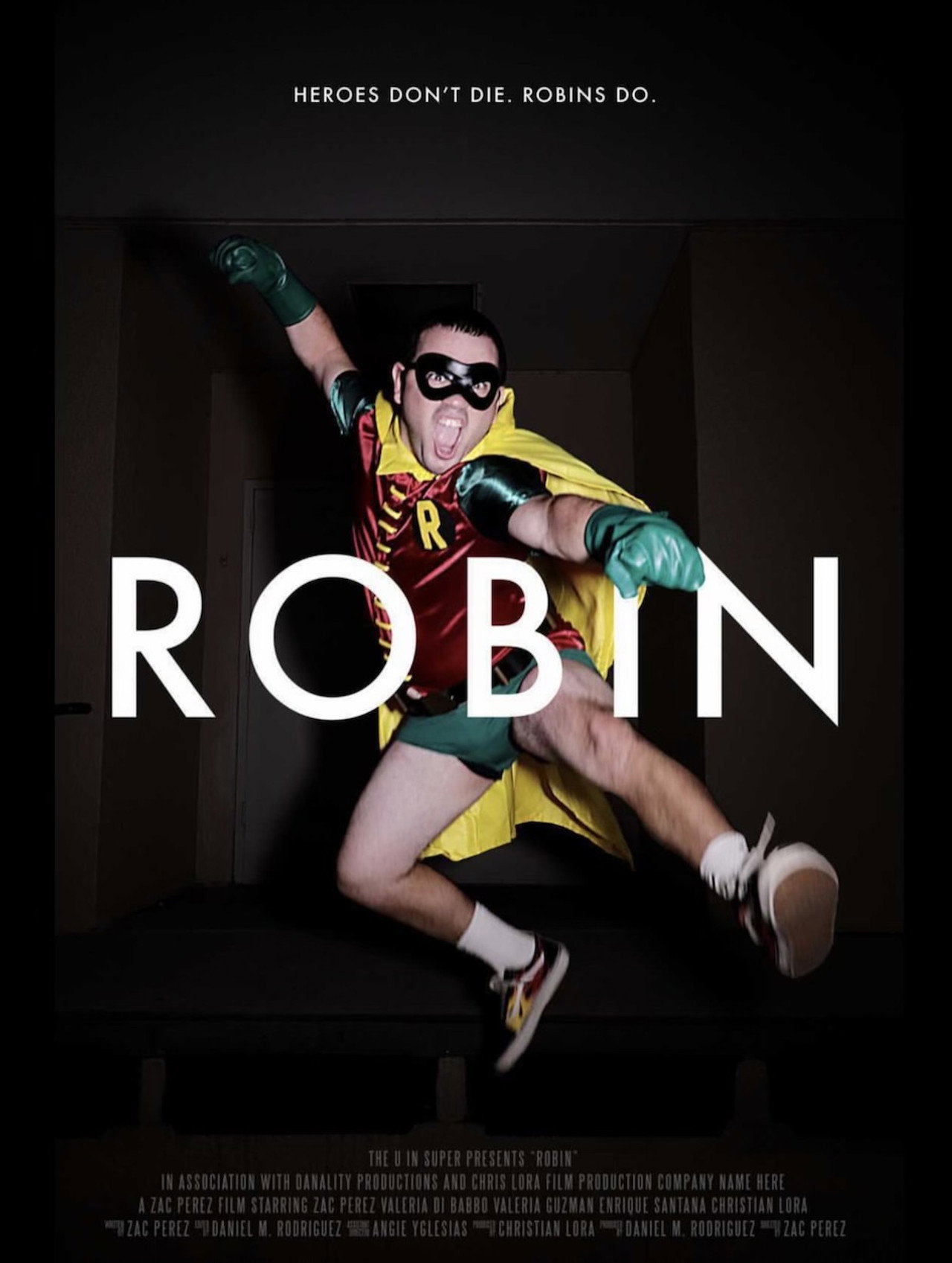 ROBIN filmaffisch