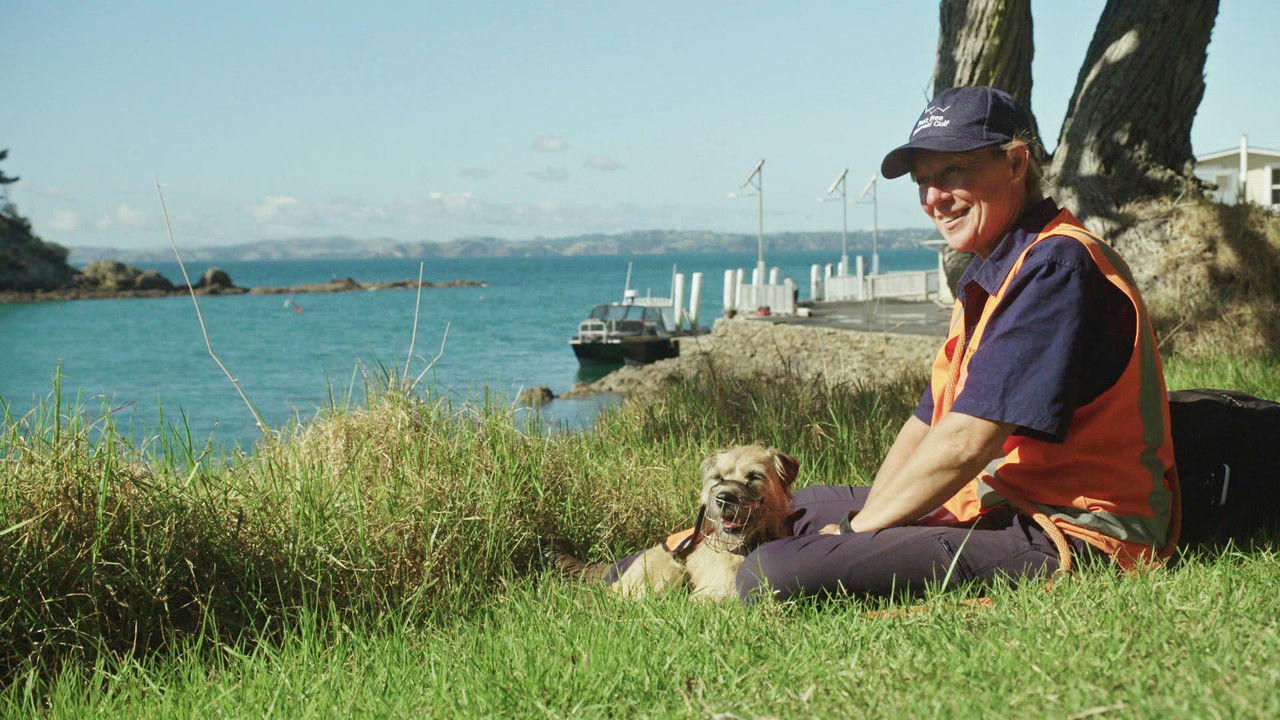 Dog Squad — Épisode 10